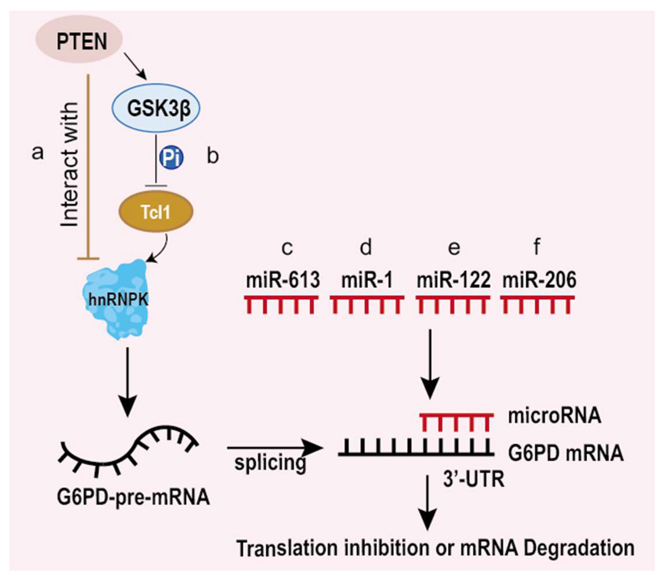 Life 12 00271 g003 Life 12 00271 g003