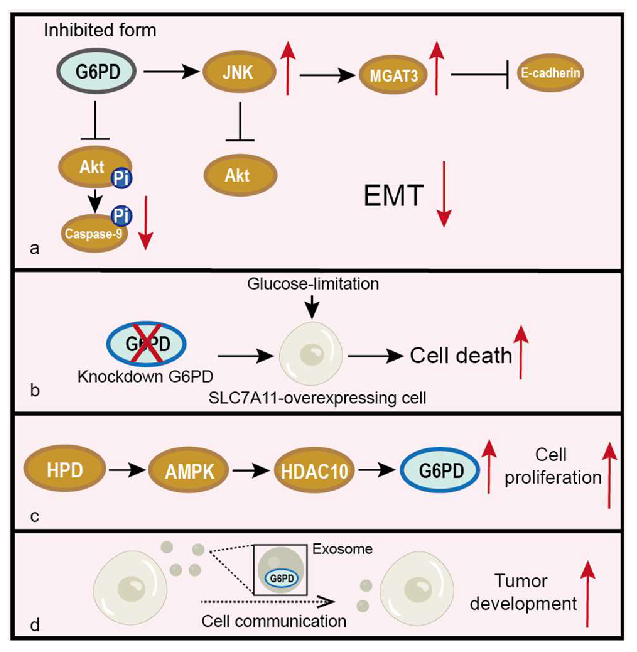 Life 12 00271 g006 Life 12 00271 g006