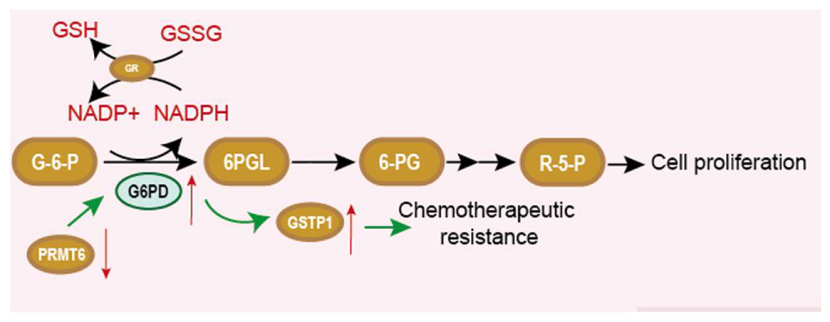 Life 12 00271 g007 Life 12 00271 g007