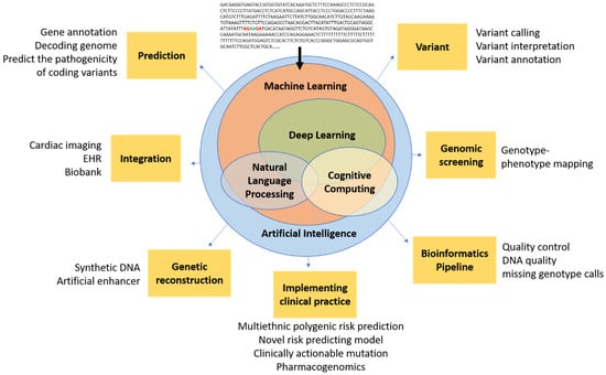 Frontiers  Ethical layering in AI-driven polygenic risk scores—New  complexities, new challenges