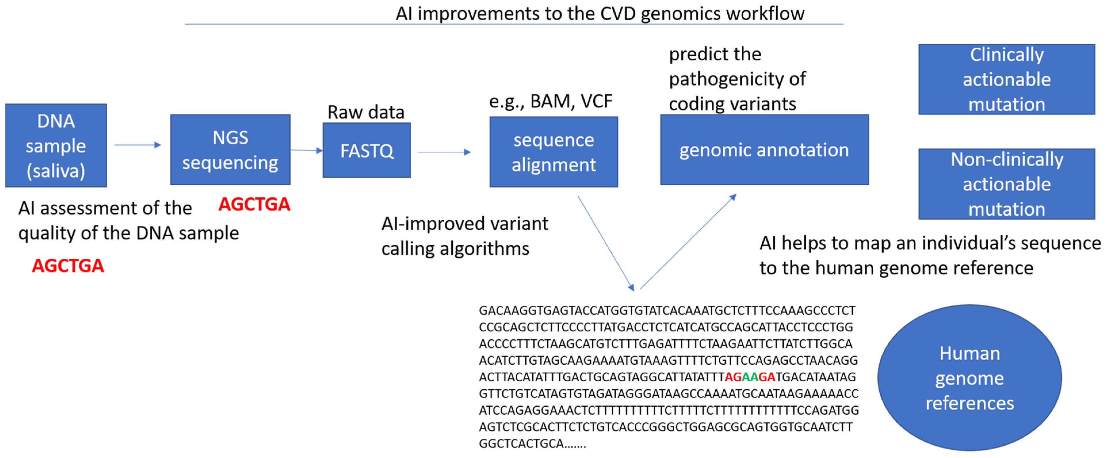 Frontiers  Ethical layering in AI-driven polygenic risk scores—New  complexities, new challenges