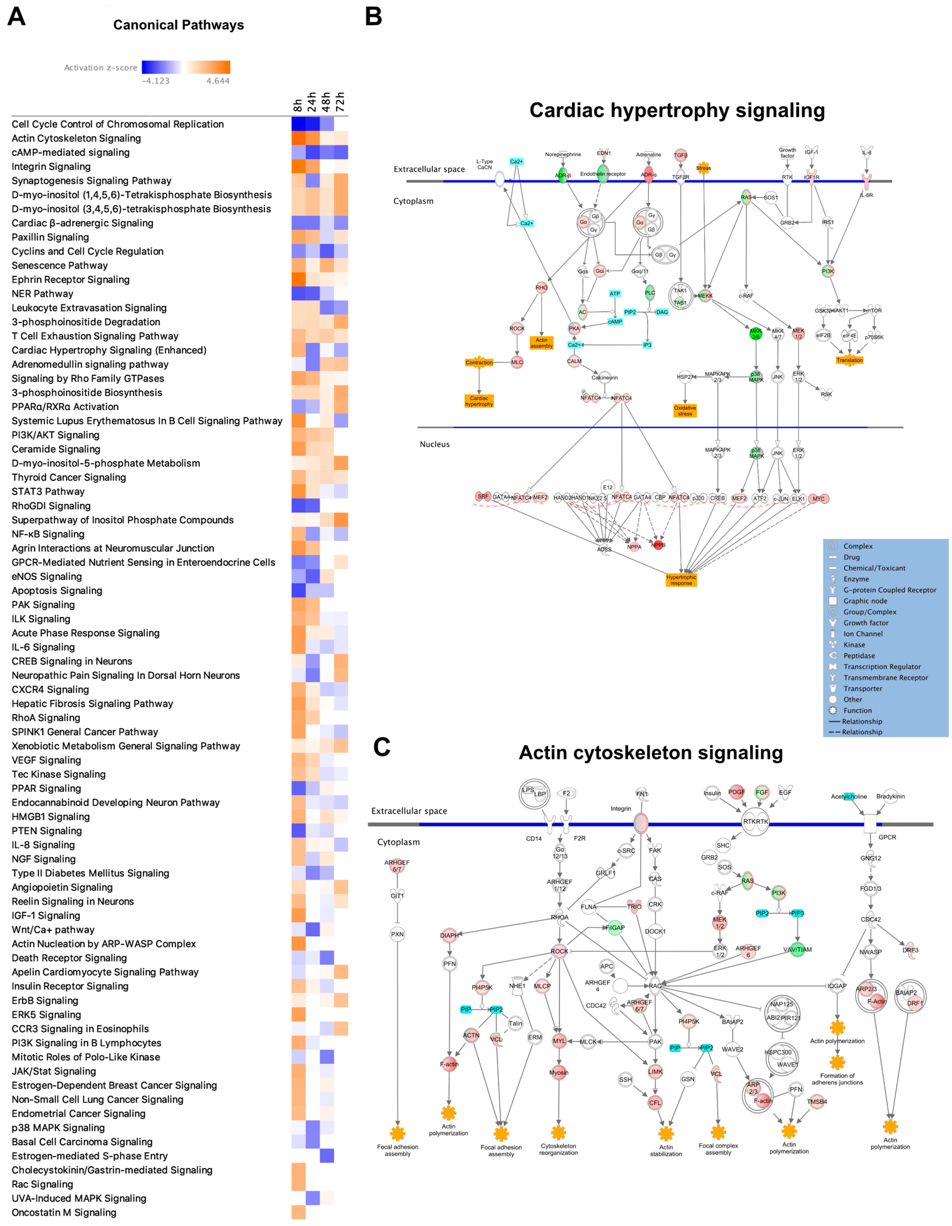 Life 12 00293 g002 Life 12 00293 g002