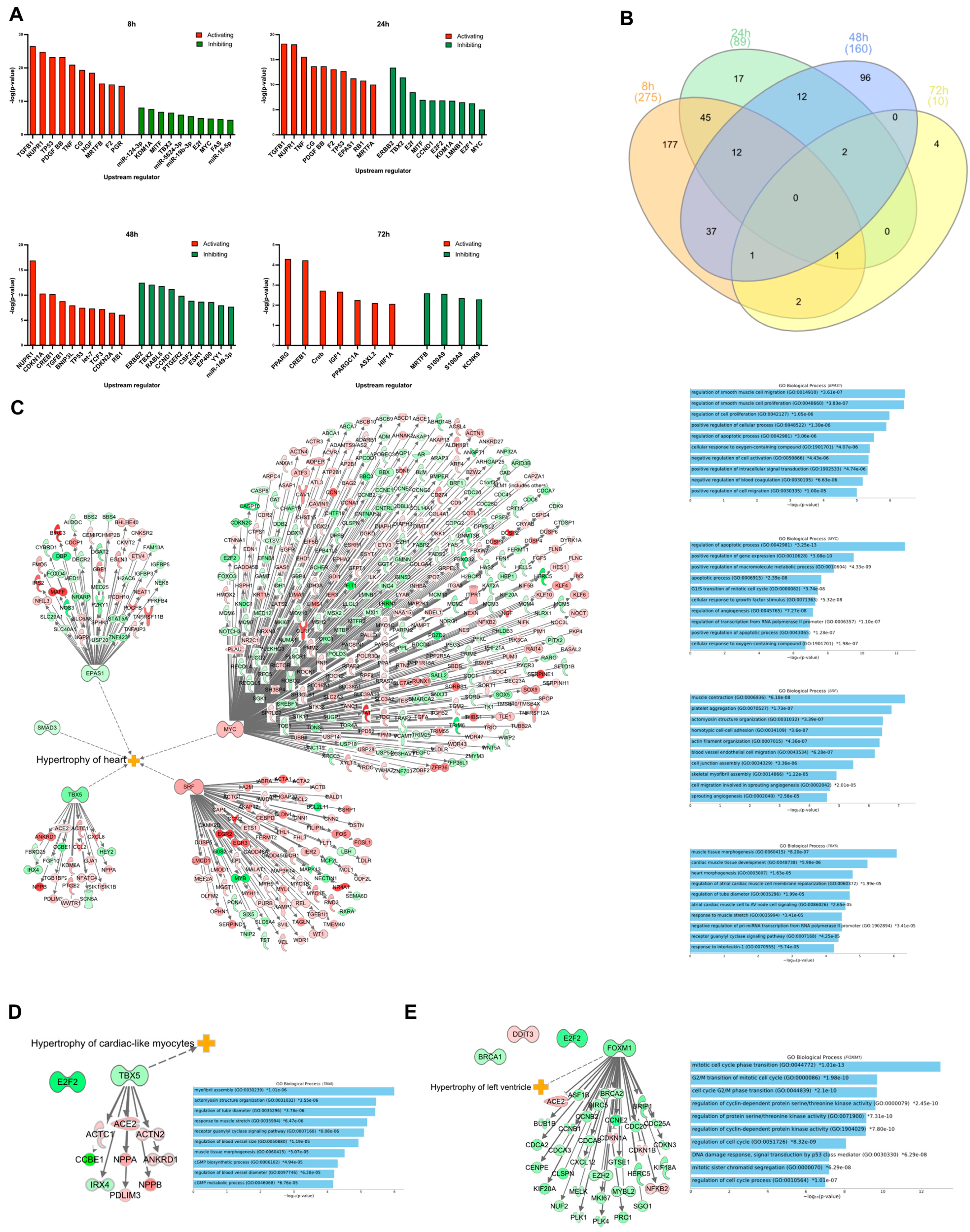 Life 12 00293 g003 Life 12 00293 g003