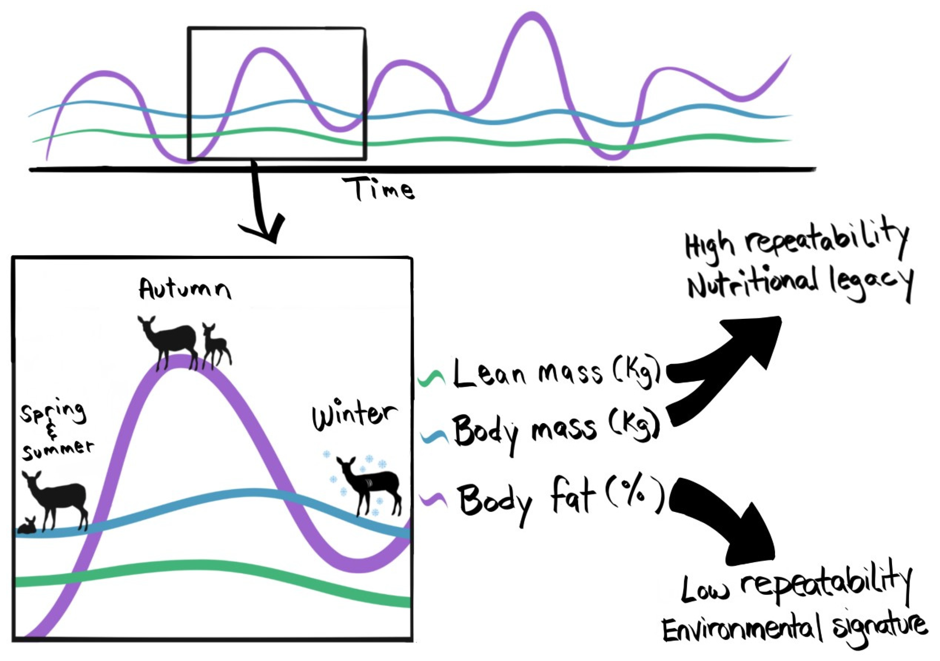 Life 12 00375 g003 Life 12 00375 g003