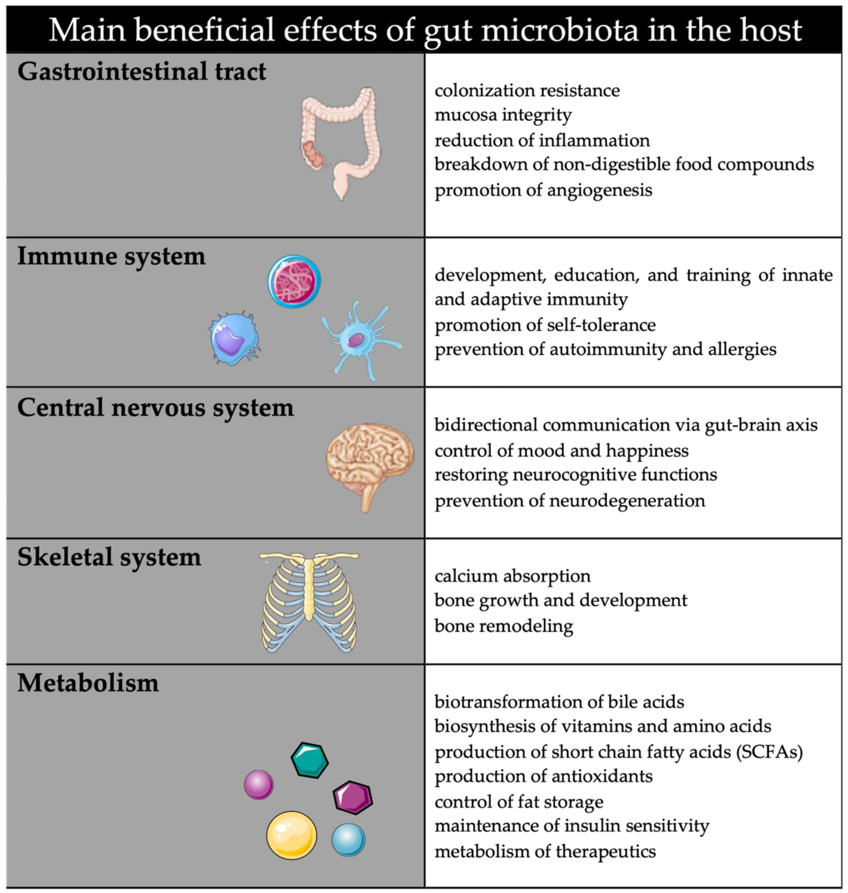 Life | Free Full-Text | The Maternal&ndash;Fetal Gut Microbiota Axis:  Physiological Changes, Dietary Influence, and Modulation Possibilities |  HTML