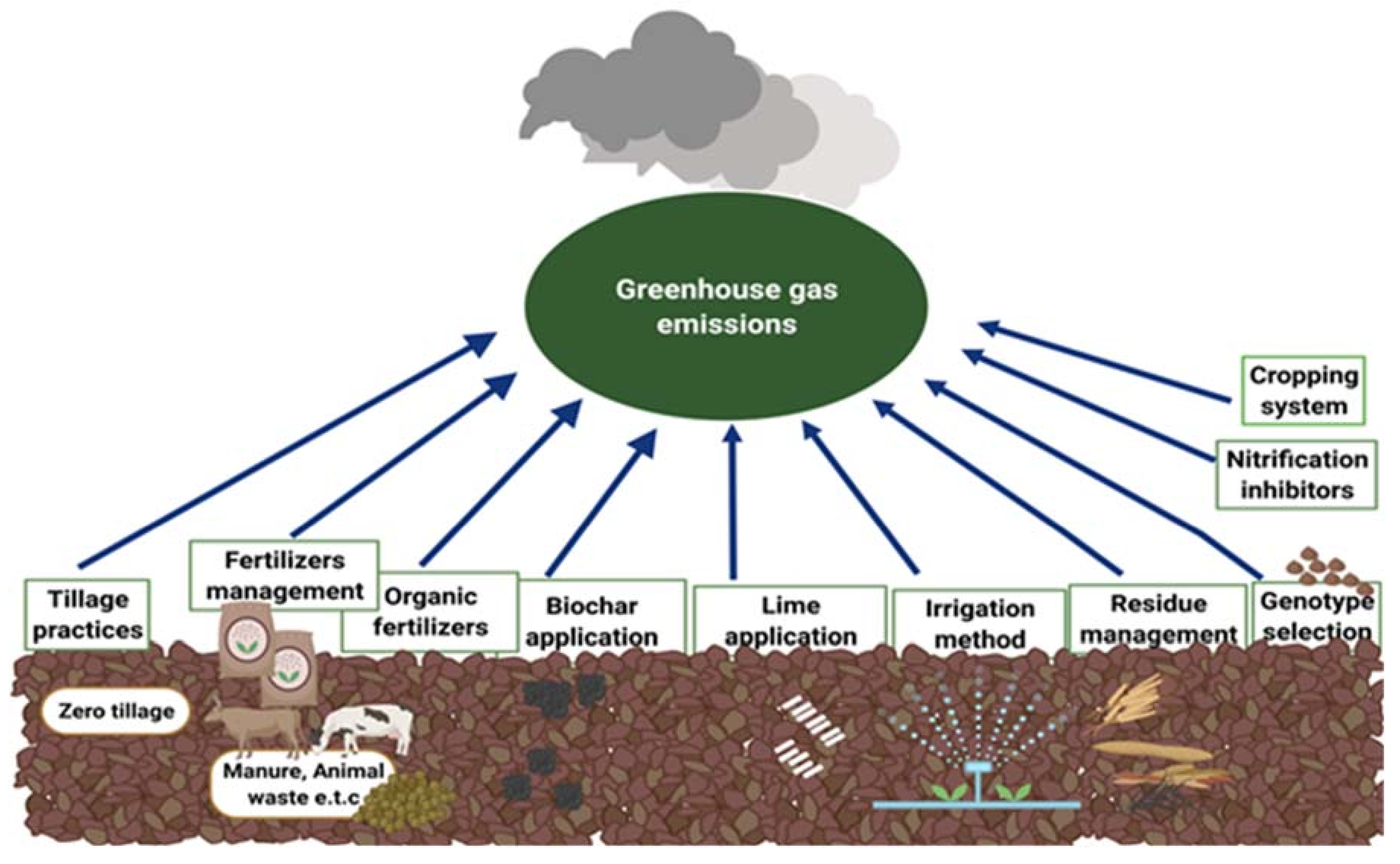 PDF) Editorial: Greenhouse Gas Emissions and Emissions Mitigation from  Agricultural and Horticultural Production Systems