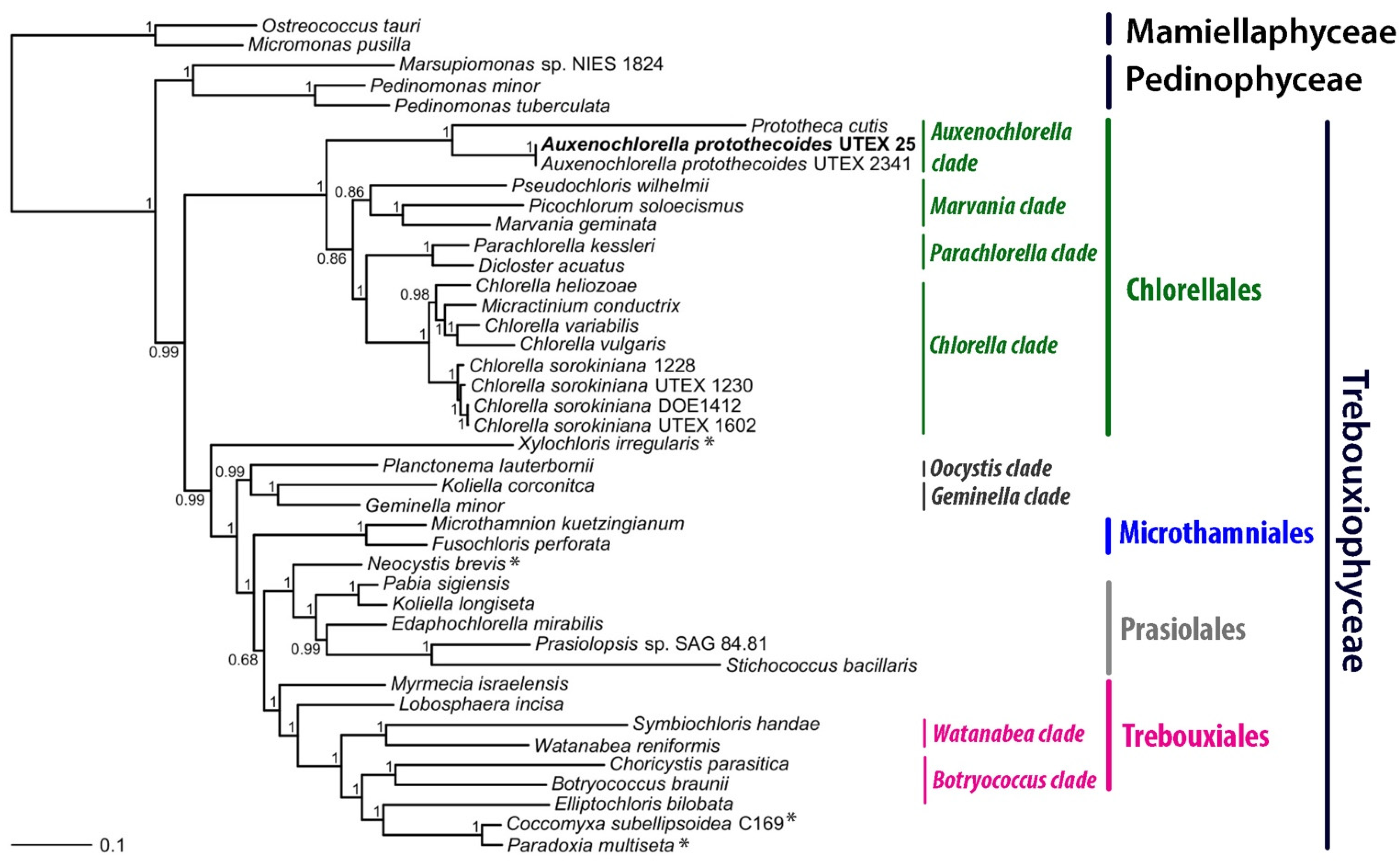 Life 12 00458 g002 Life 12 00458 g002