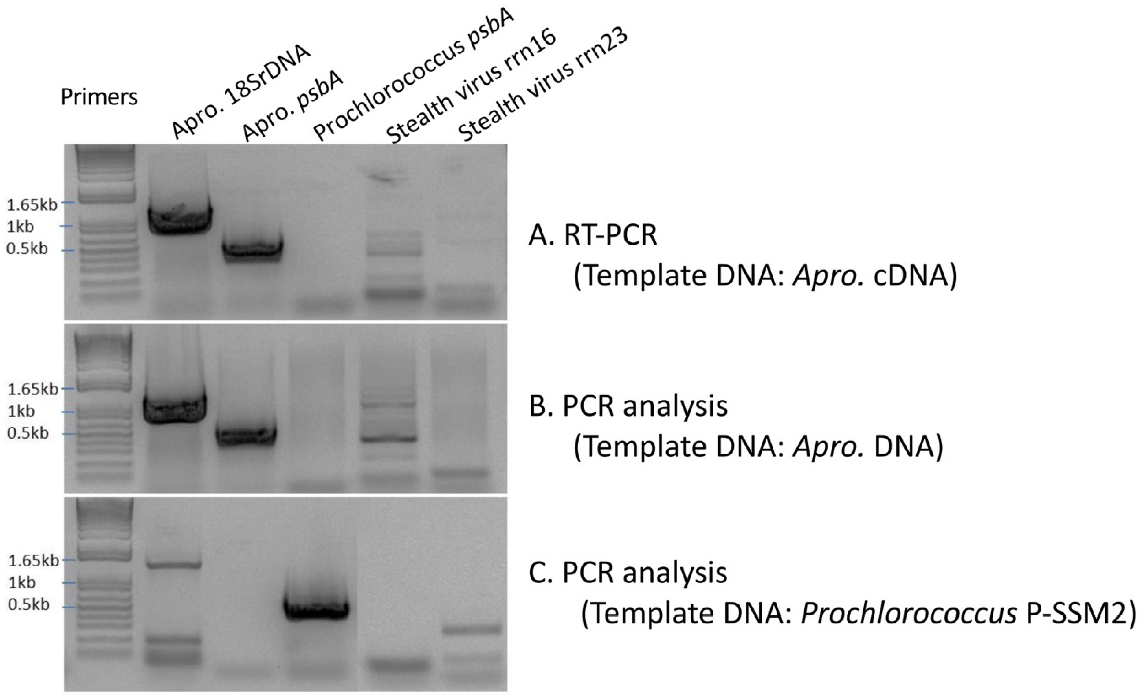 Life 12 00458 g006 Life 12 00458 g006