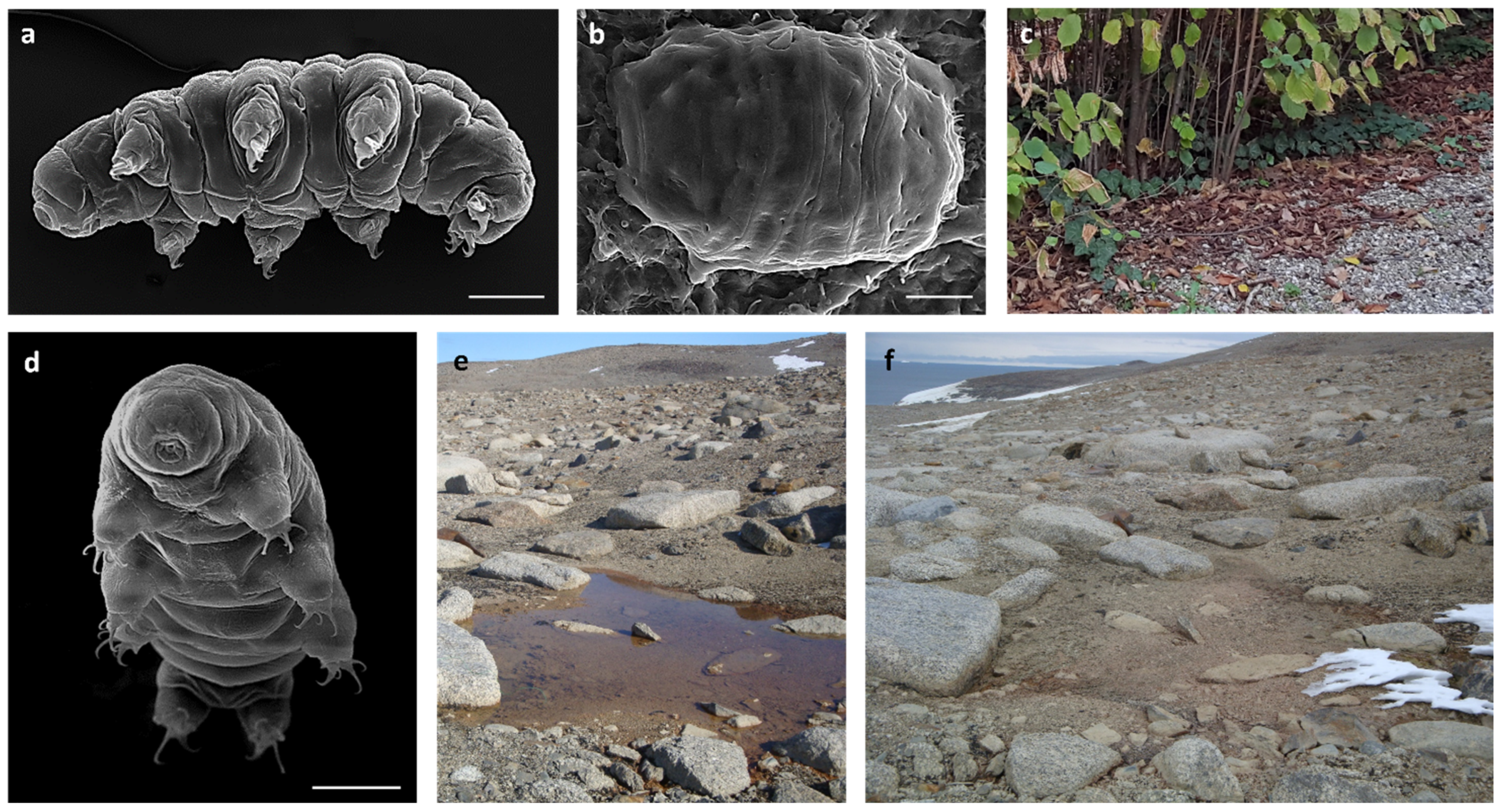 Life 12 00817 g001 Life 12 00817 g001