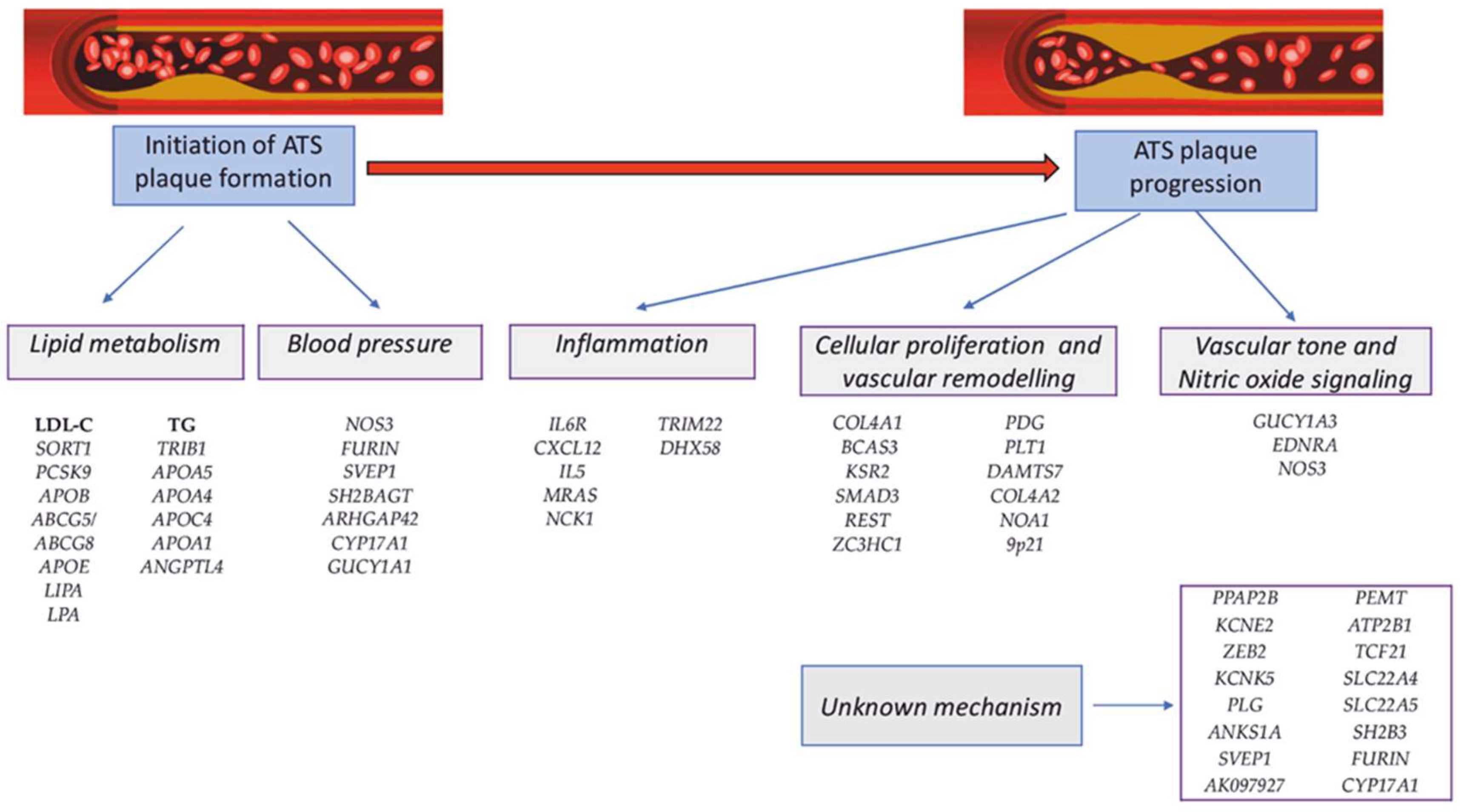 Life 12 00865 g002 Life 12 00865 g002
