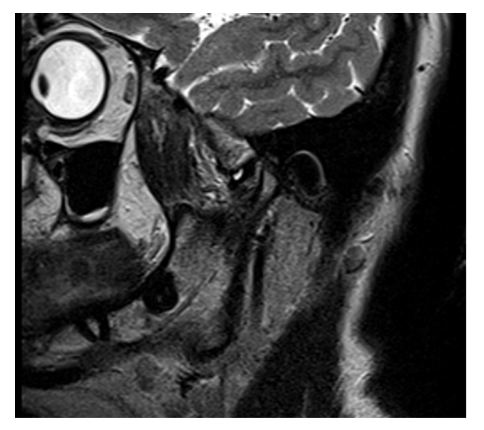 Life 12 00908 g007 Life 12 00908 g007