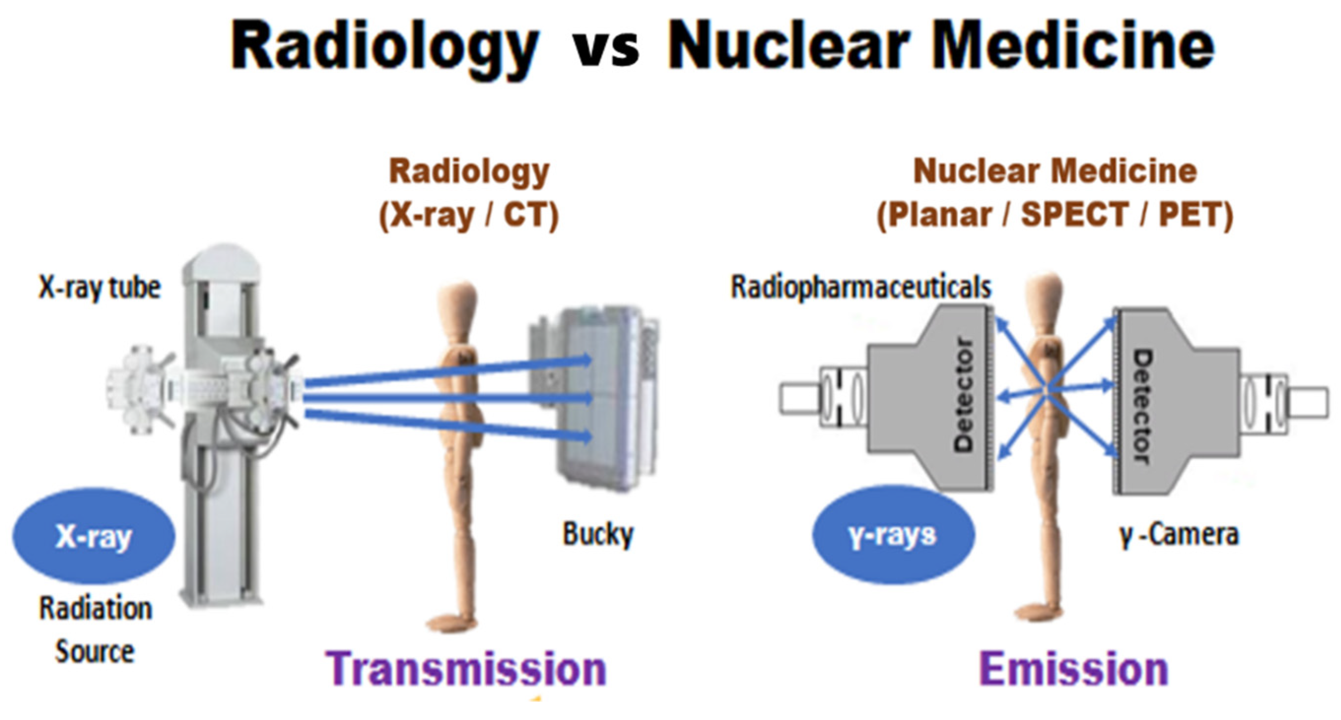 Life | Free Full-Text | Very-Low-Dose Radiation and Clinical Molecular Nuclear  Medicine