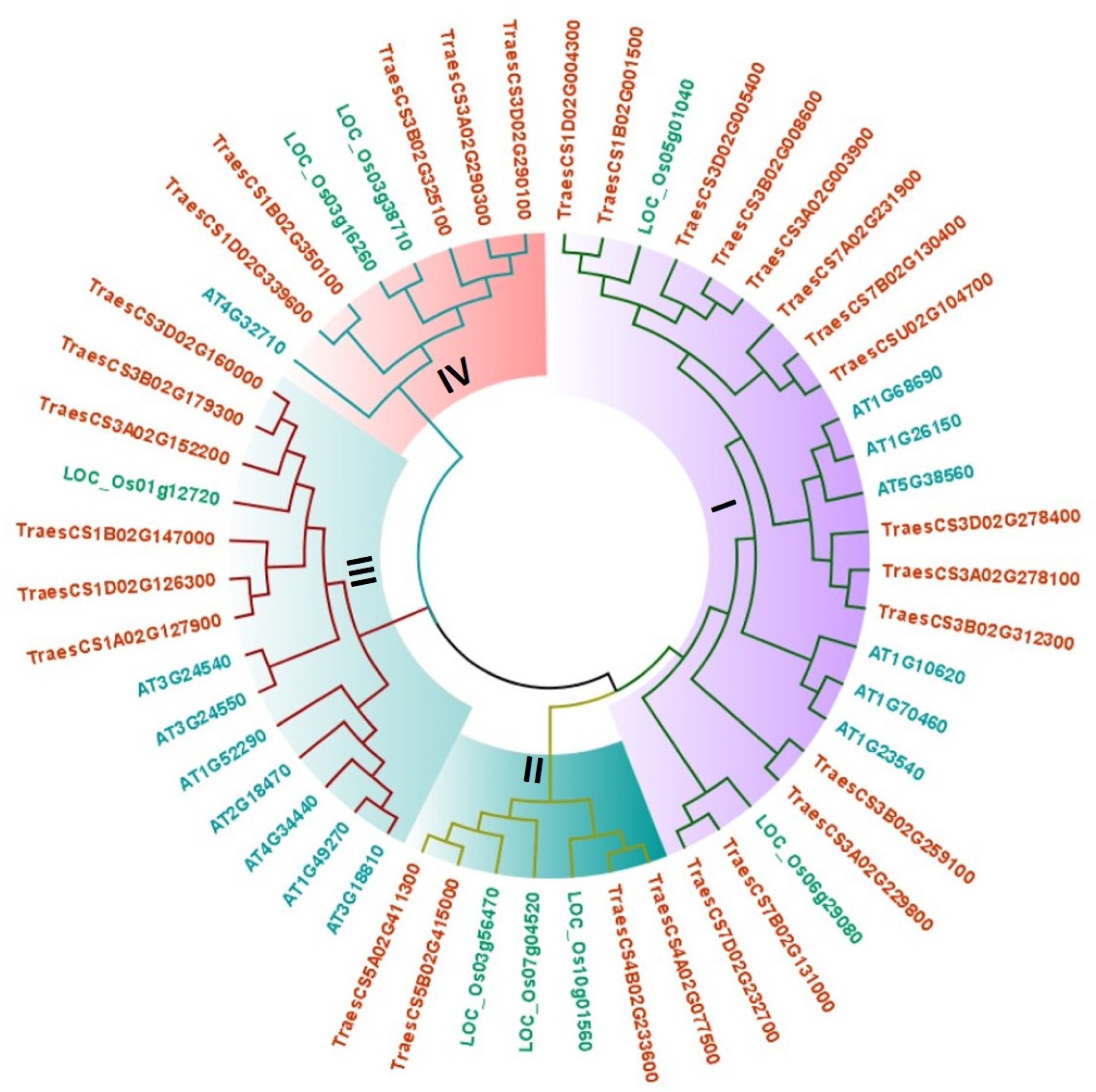 Life 12 00941 g002 Life 12 00941 g002