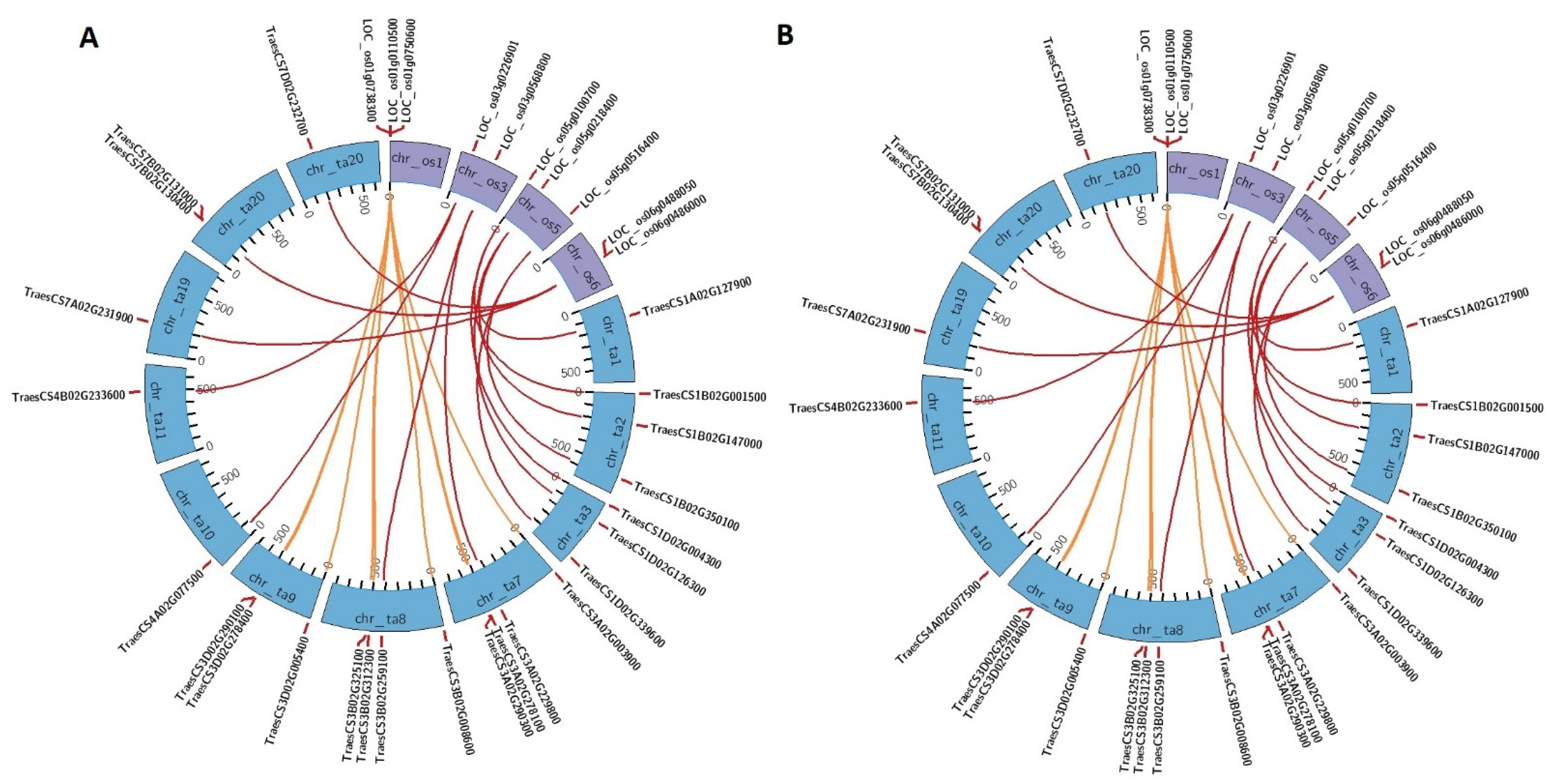 Life 12 00941 g003 Life 12 00941 g003
