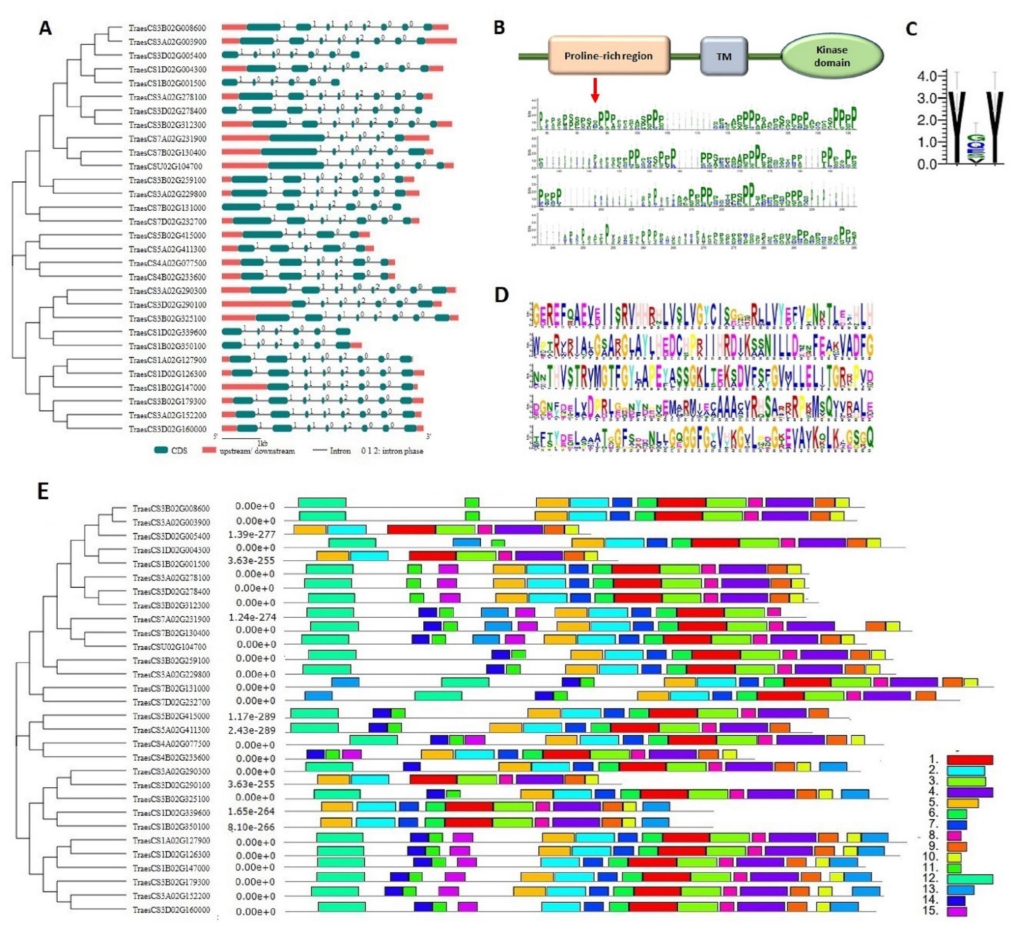 Life 12 00941 g004 Life 12 00941 g004