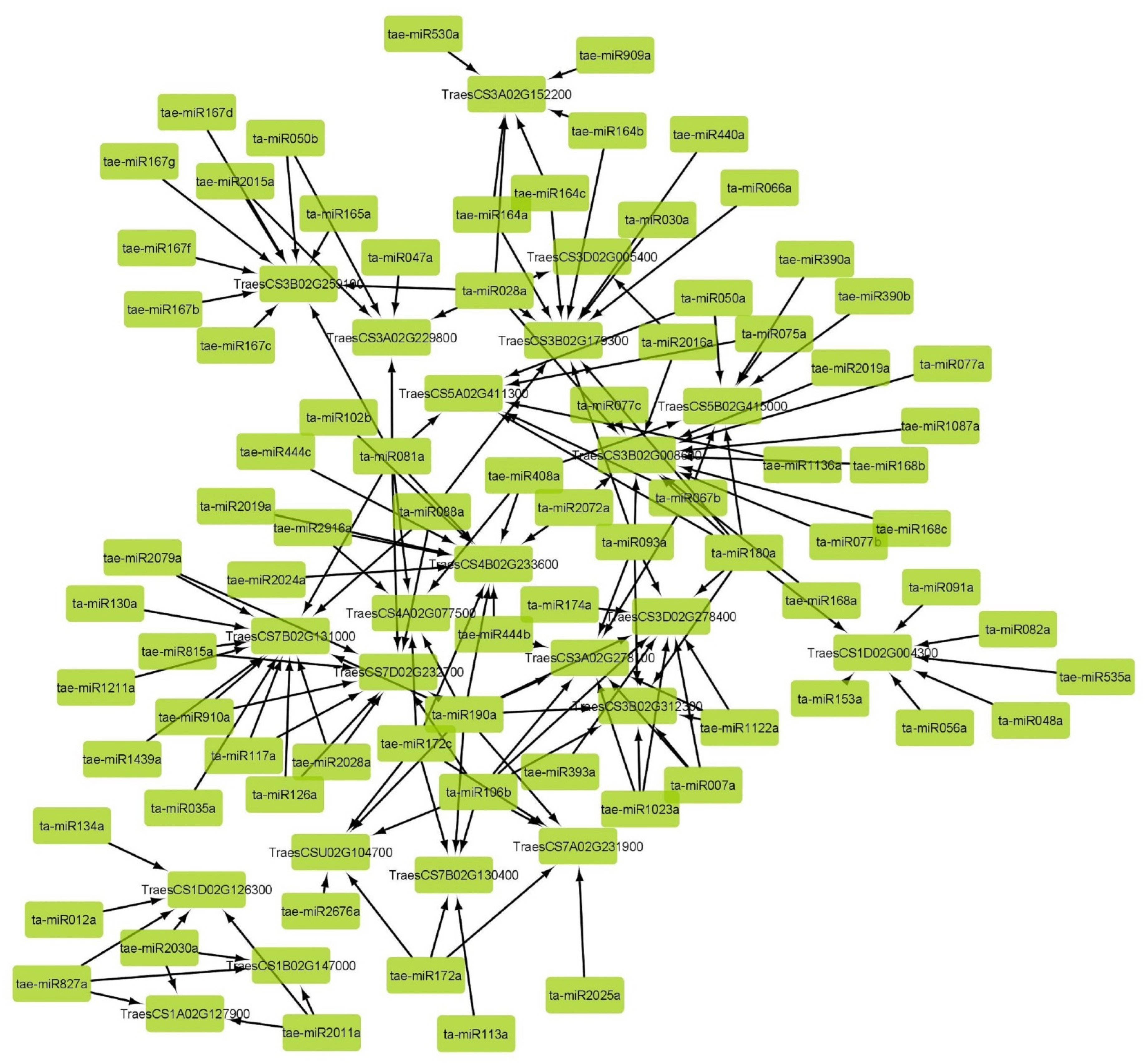 Life 12 00941 g008 Life 12 00941 g008