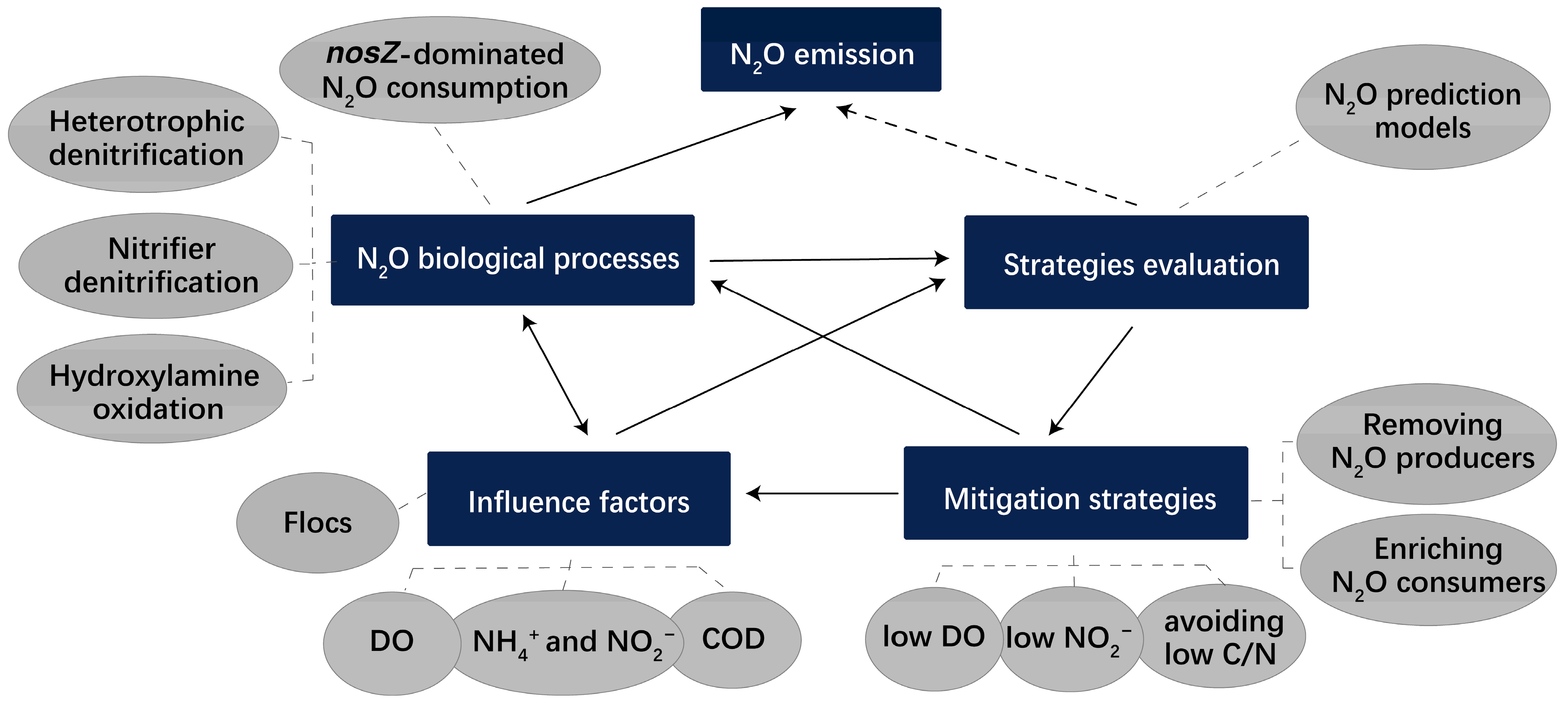 A review on nitrous oxide (N2O) emissions during biological