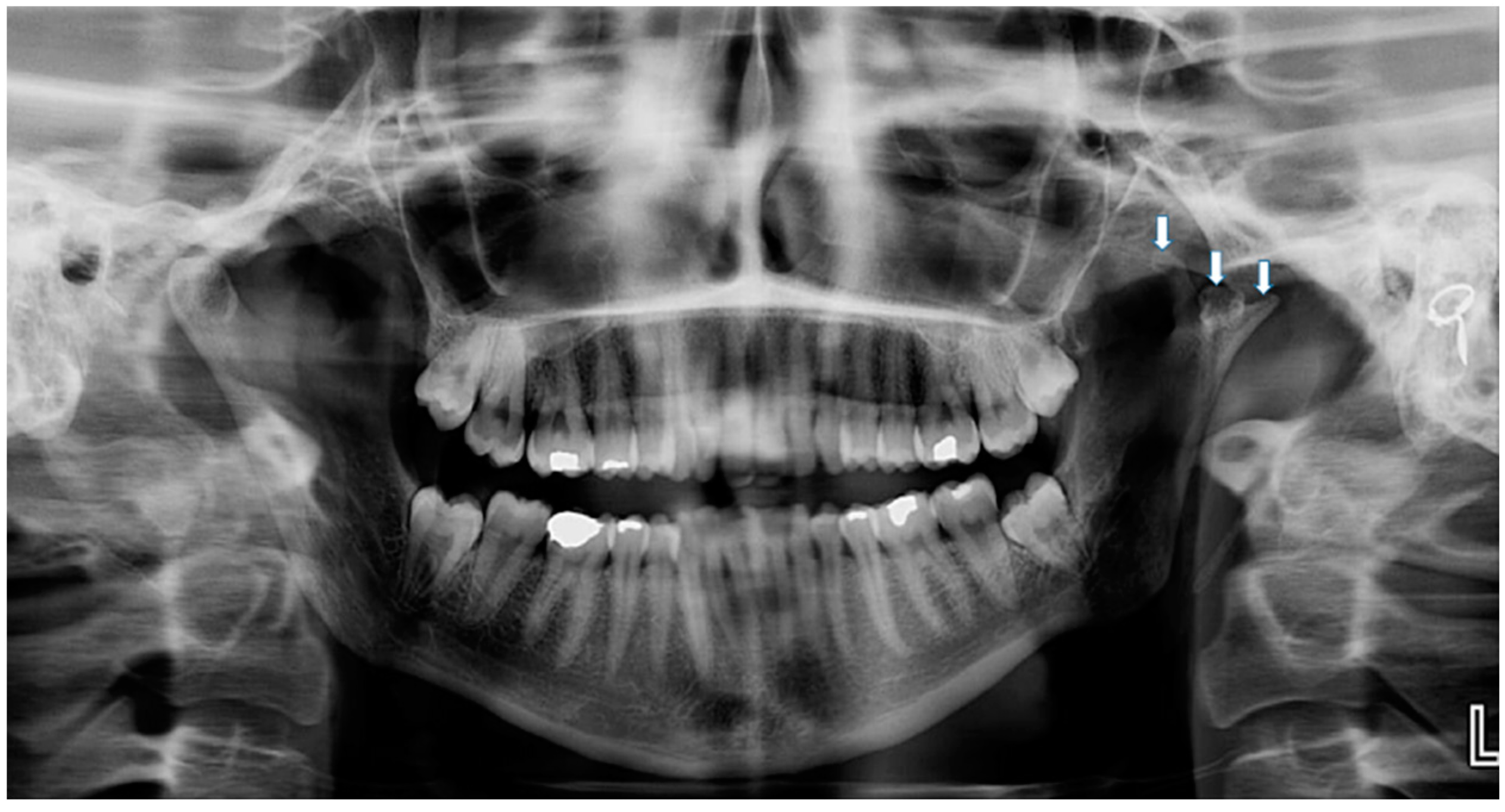 Life 12 00976 g004 Life 12 00976 g004