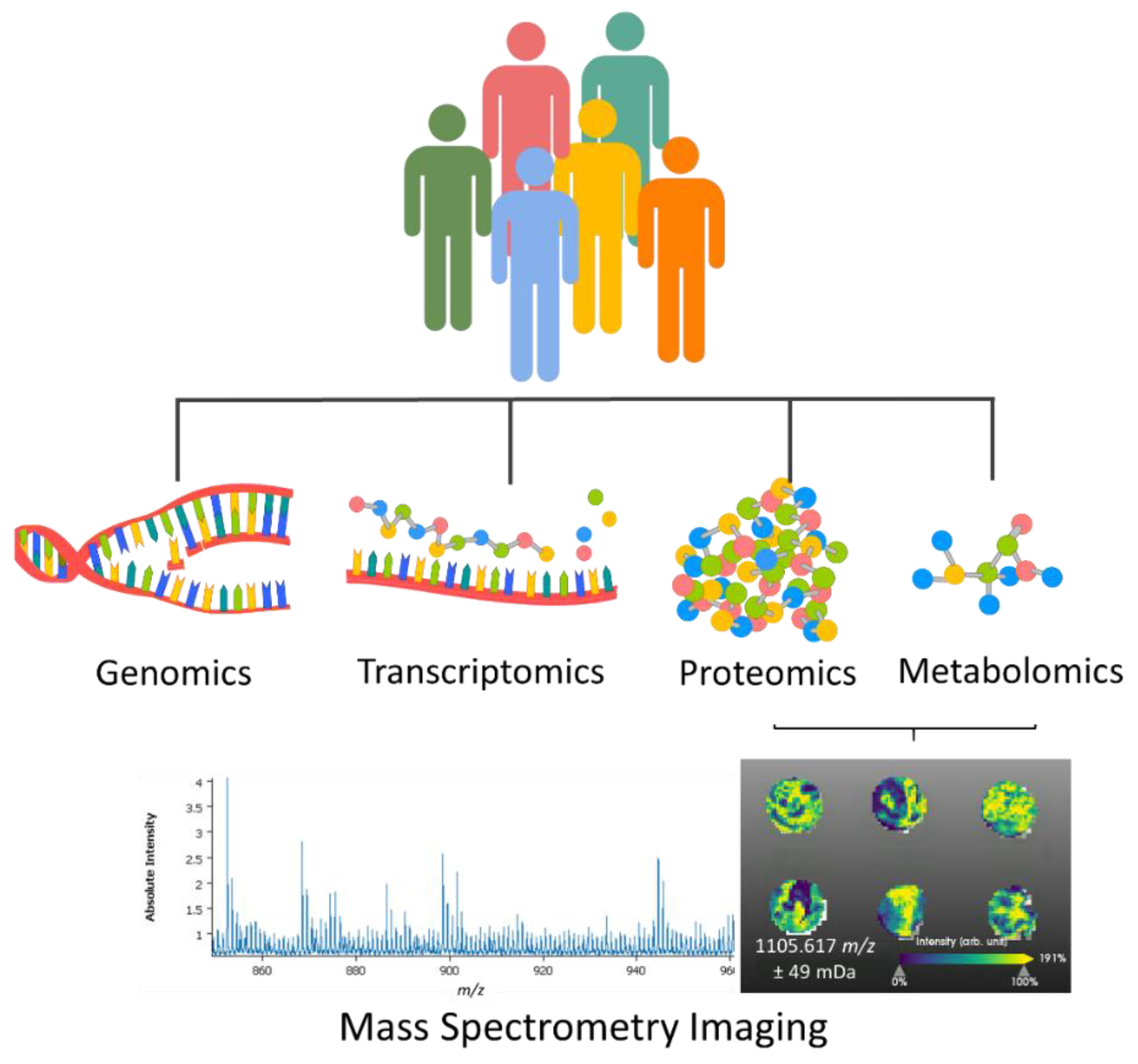 Life | Free Full-Text | Mass Spectrometry Imaging Spatial Tissue ...