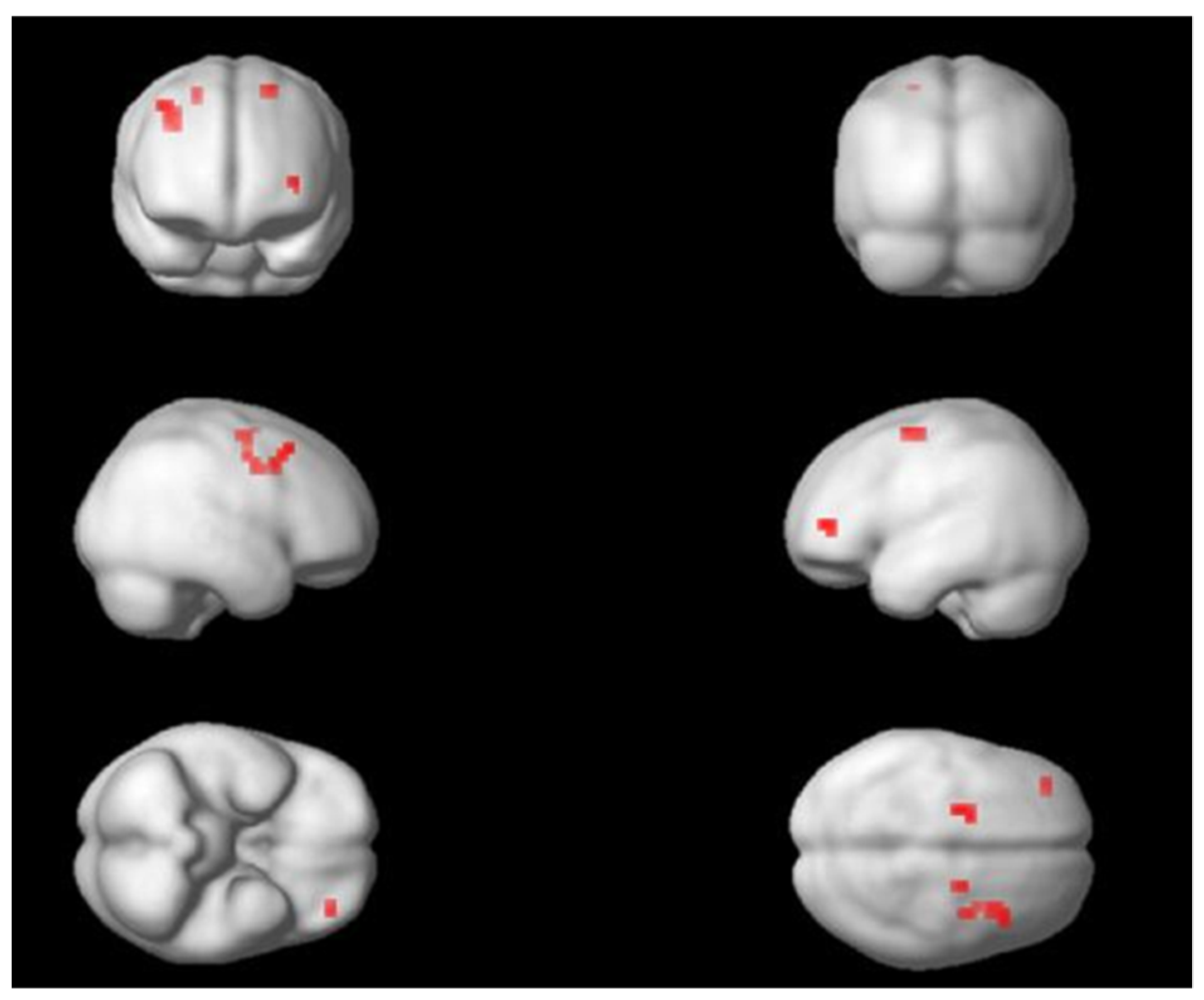 Life 12 01132 g002 Life 12 01132 g002