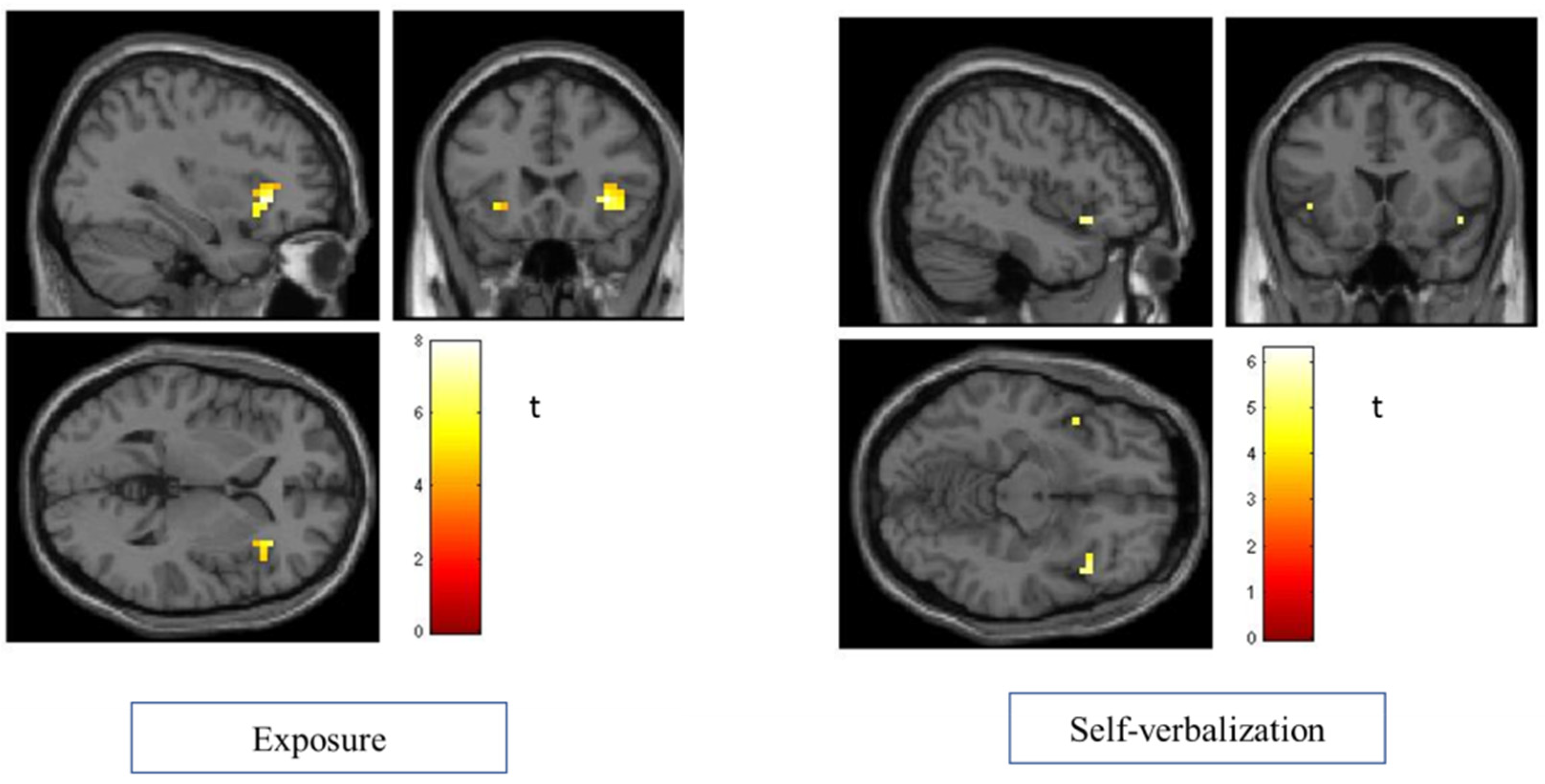 Life 12 01132 g003 Life 12 01132 g003