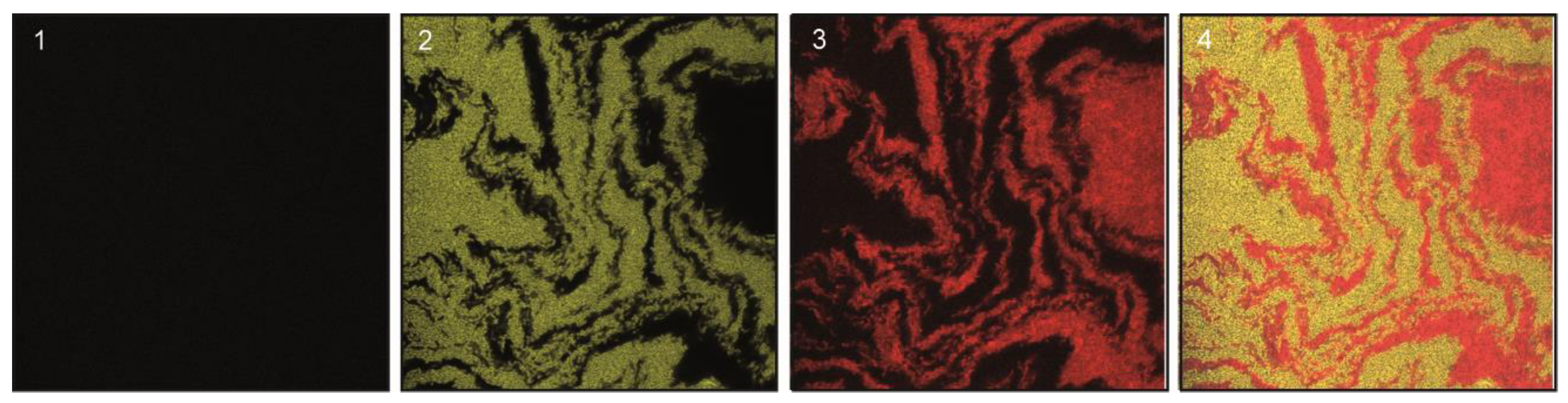 Life 12 01212 g005 Life 12 01212 g005