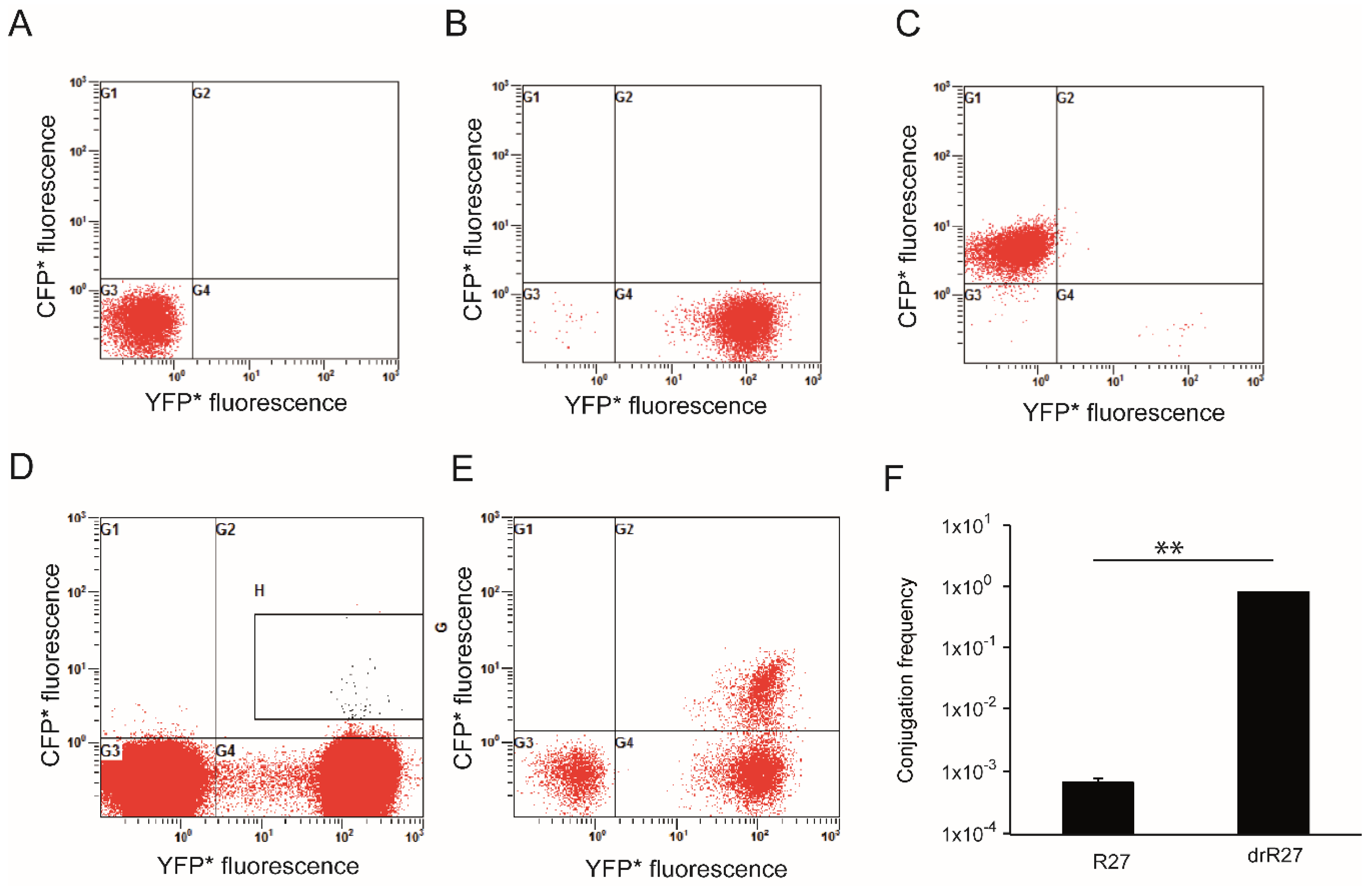 Life 12 01212 g006 Life 12 01212 g006