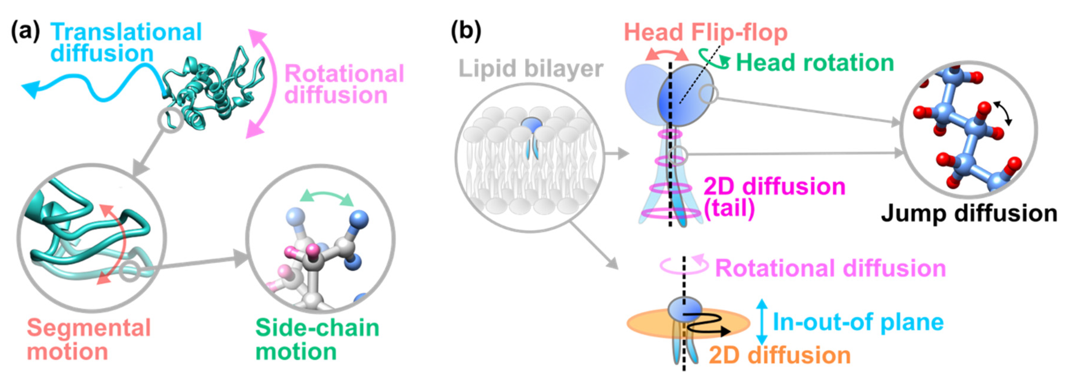 Life 12 01259 g001 Life 12 01259 g001