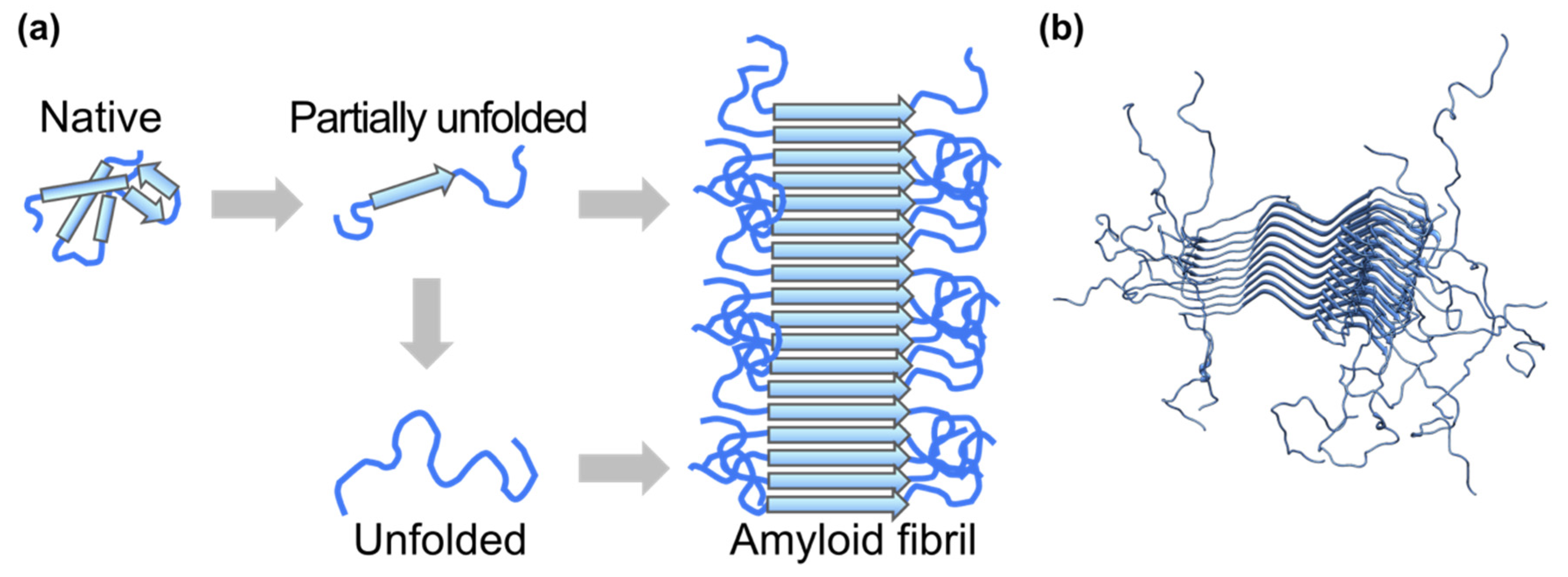 Life 12 01259 g004 Life 12 01259 g004