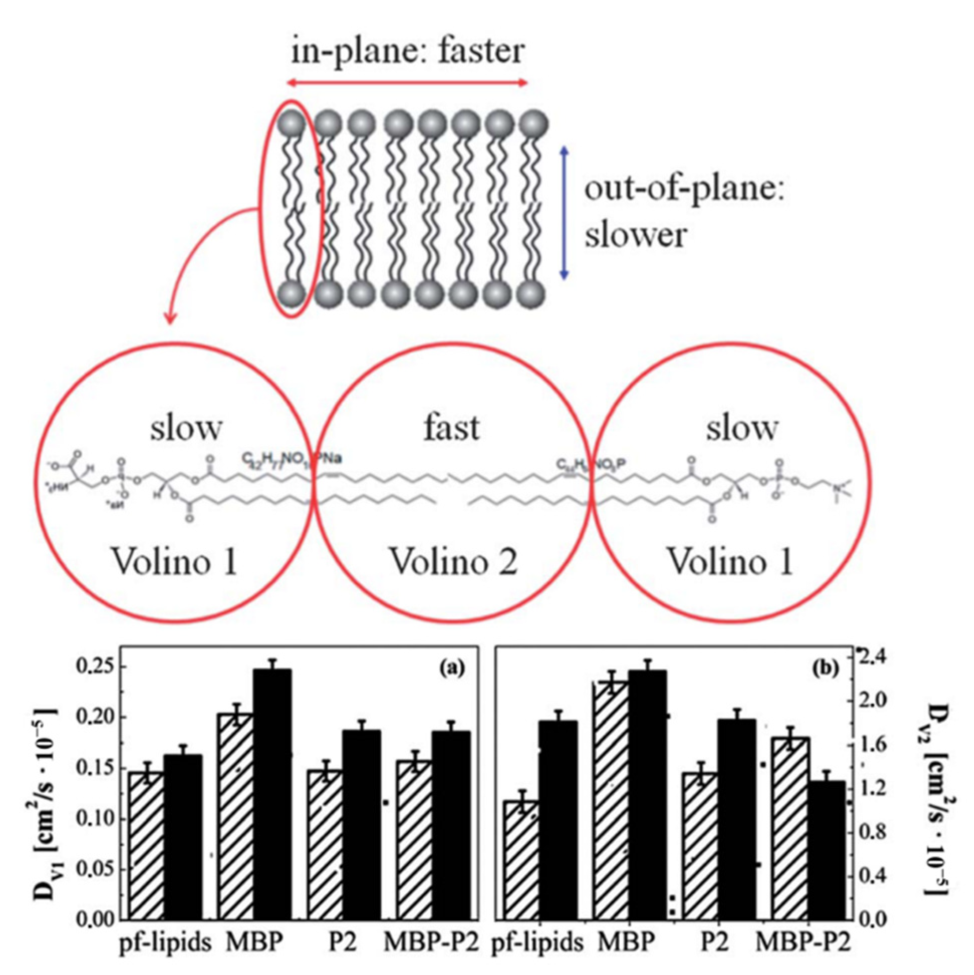 Life 12 01259 g011 Life 12 01259 g011