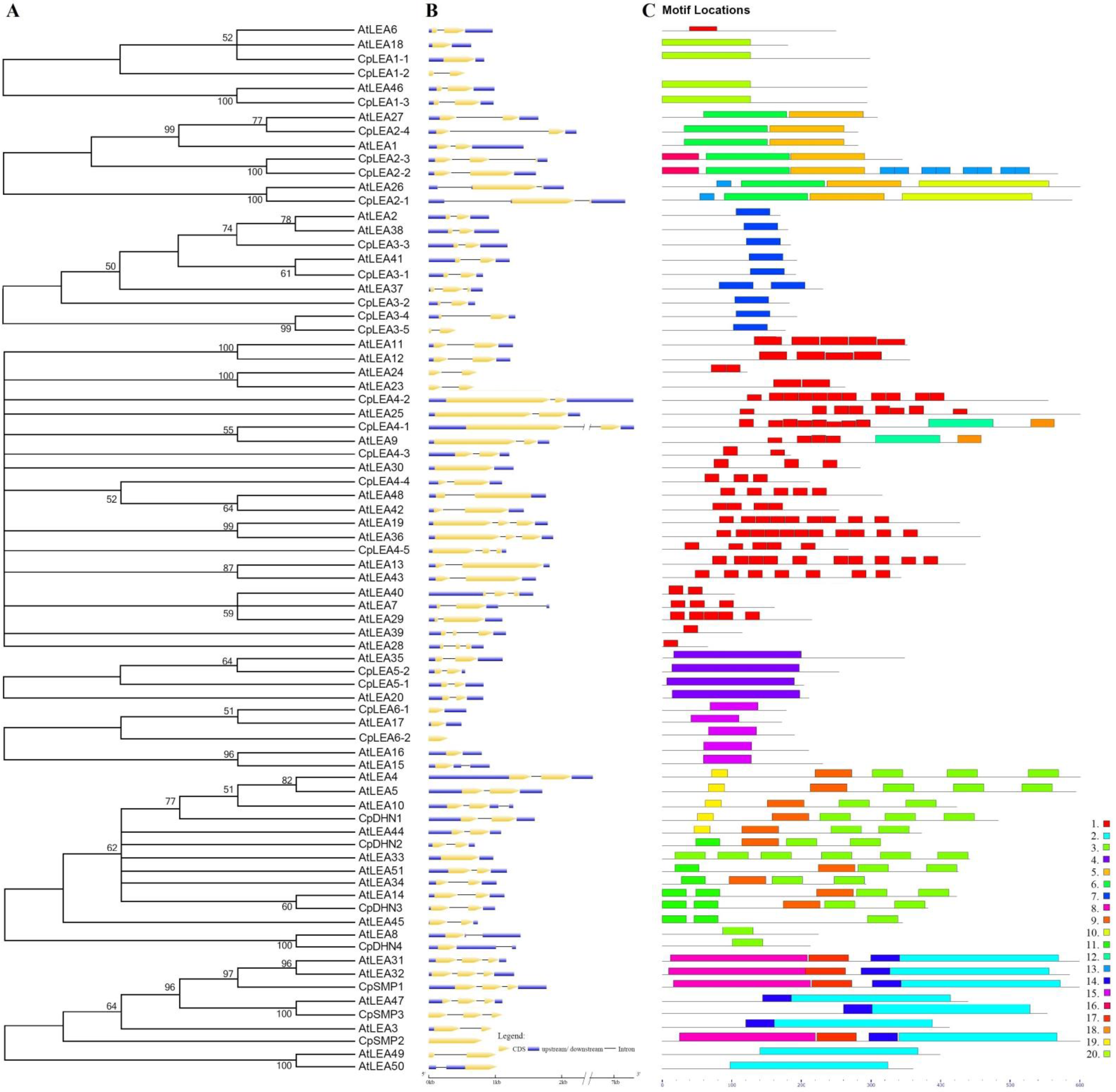 Life 12 01453 g003 Life 12 01453 g003