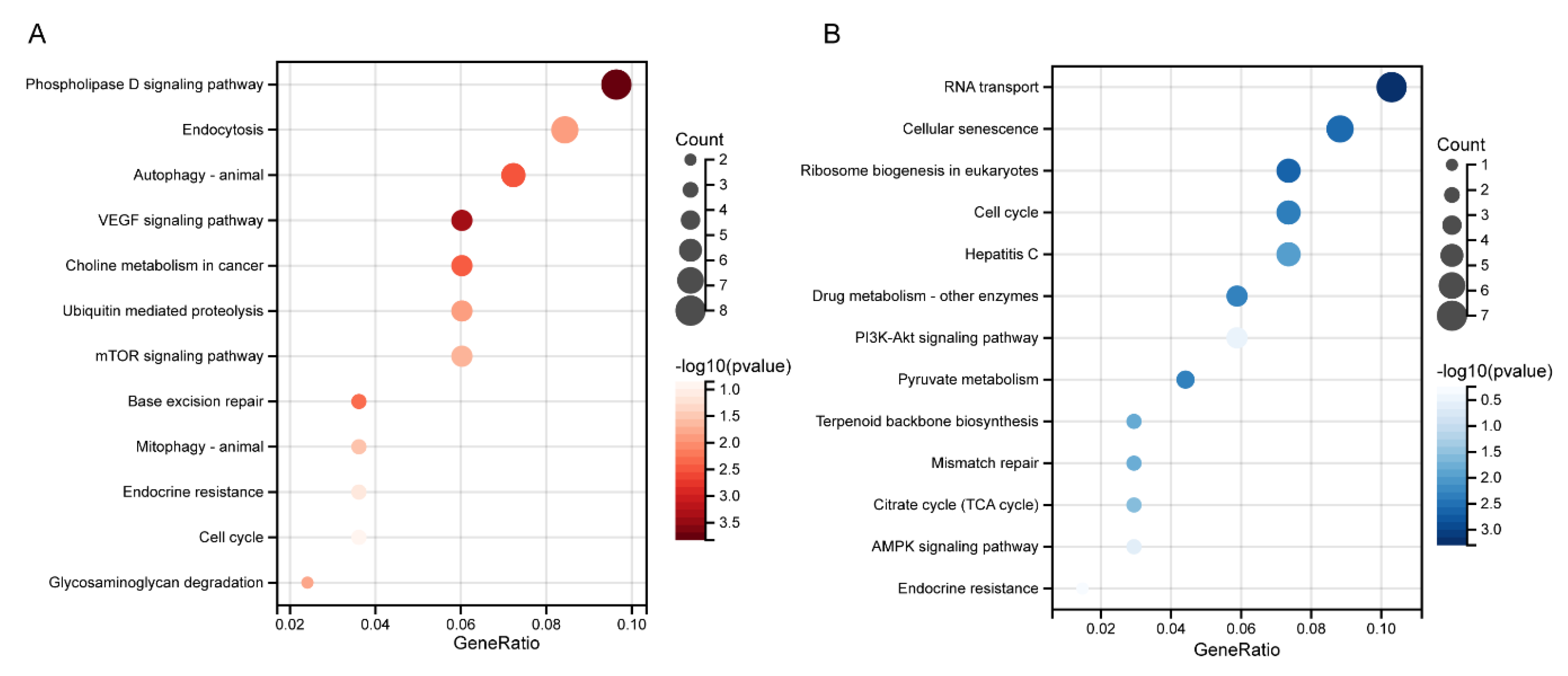 Life 12 01461 g005 Life 12 01461 g005