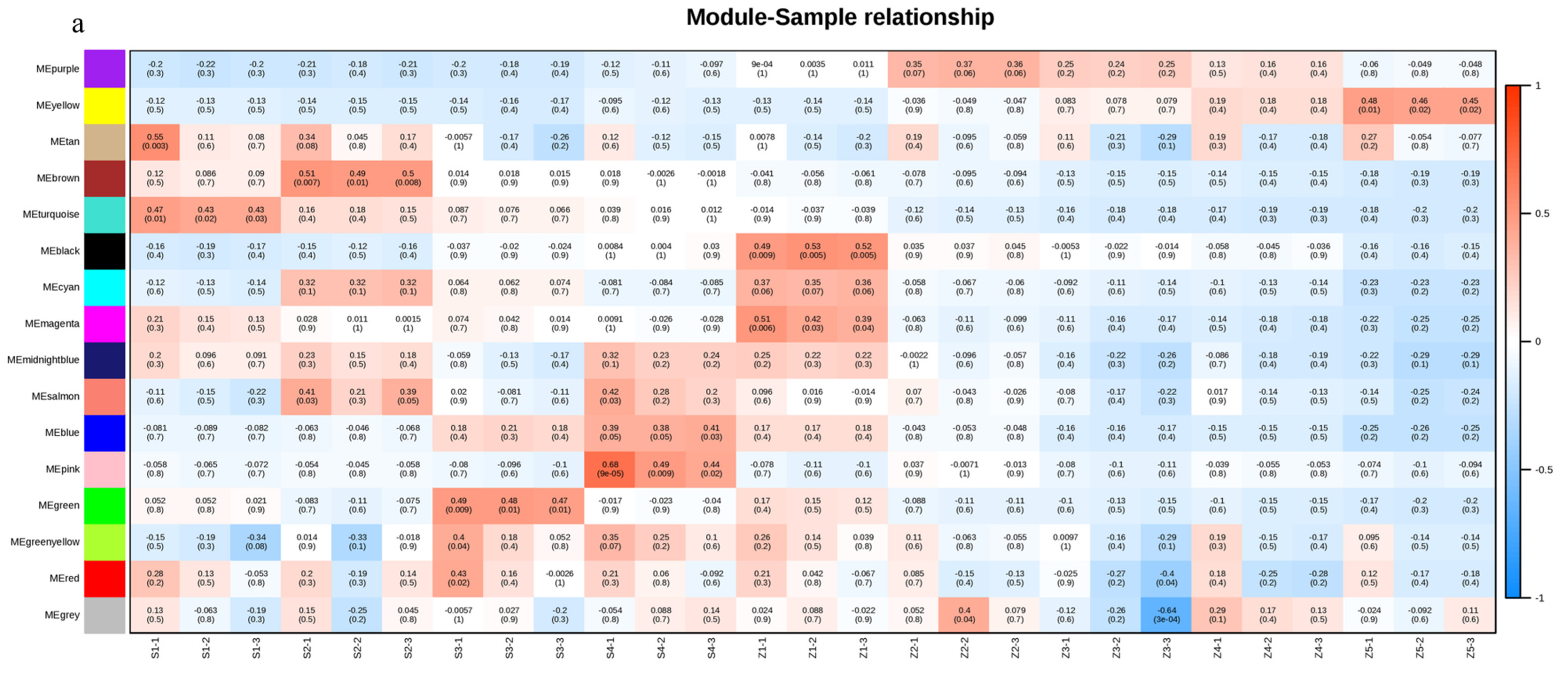 Life 12 01494 g002a Life 12 01494 g002a