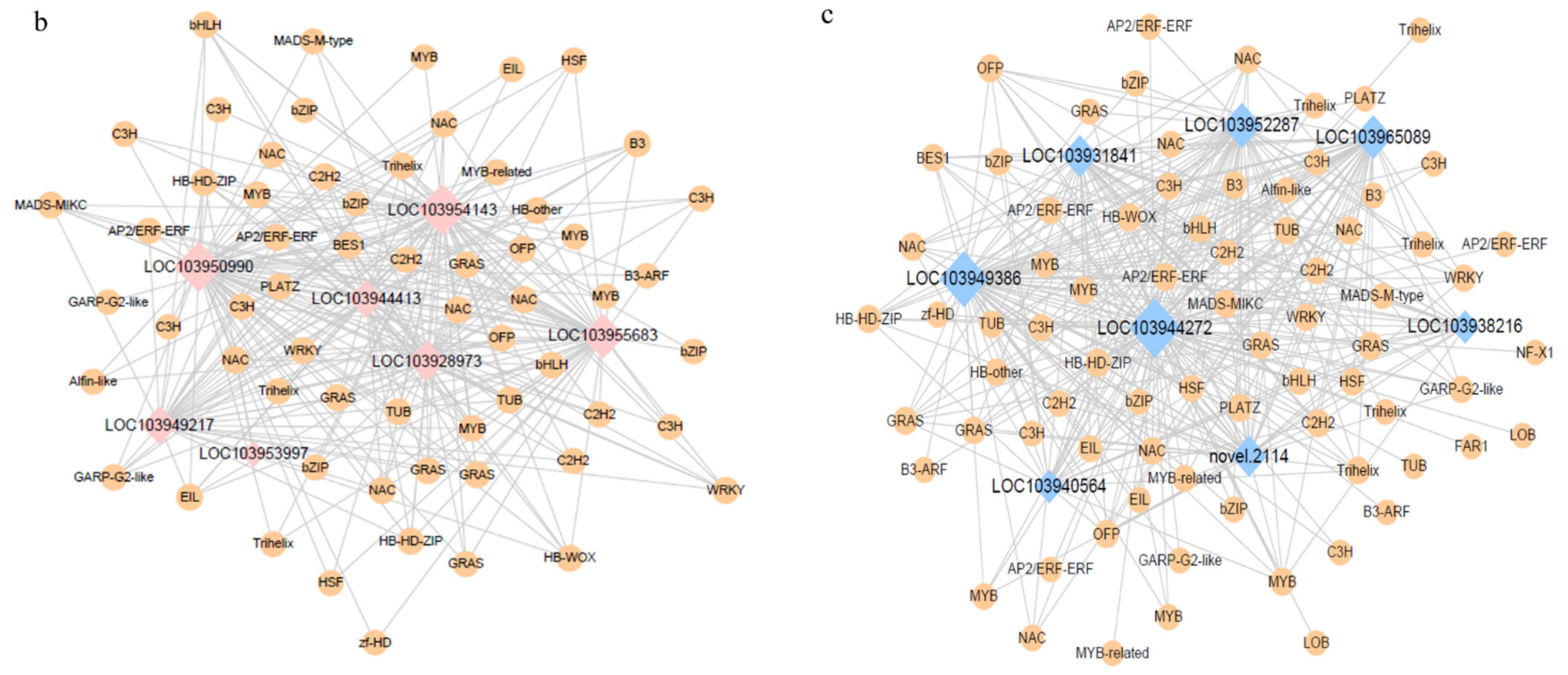 Life 12 01494 g002b Life 12 01494 g002b