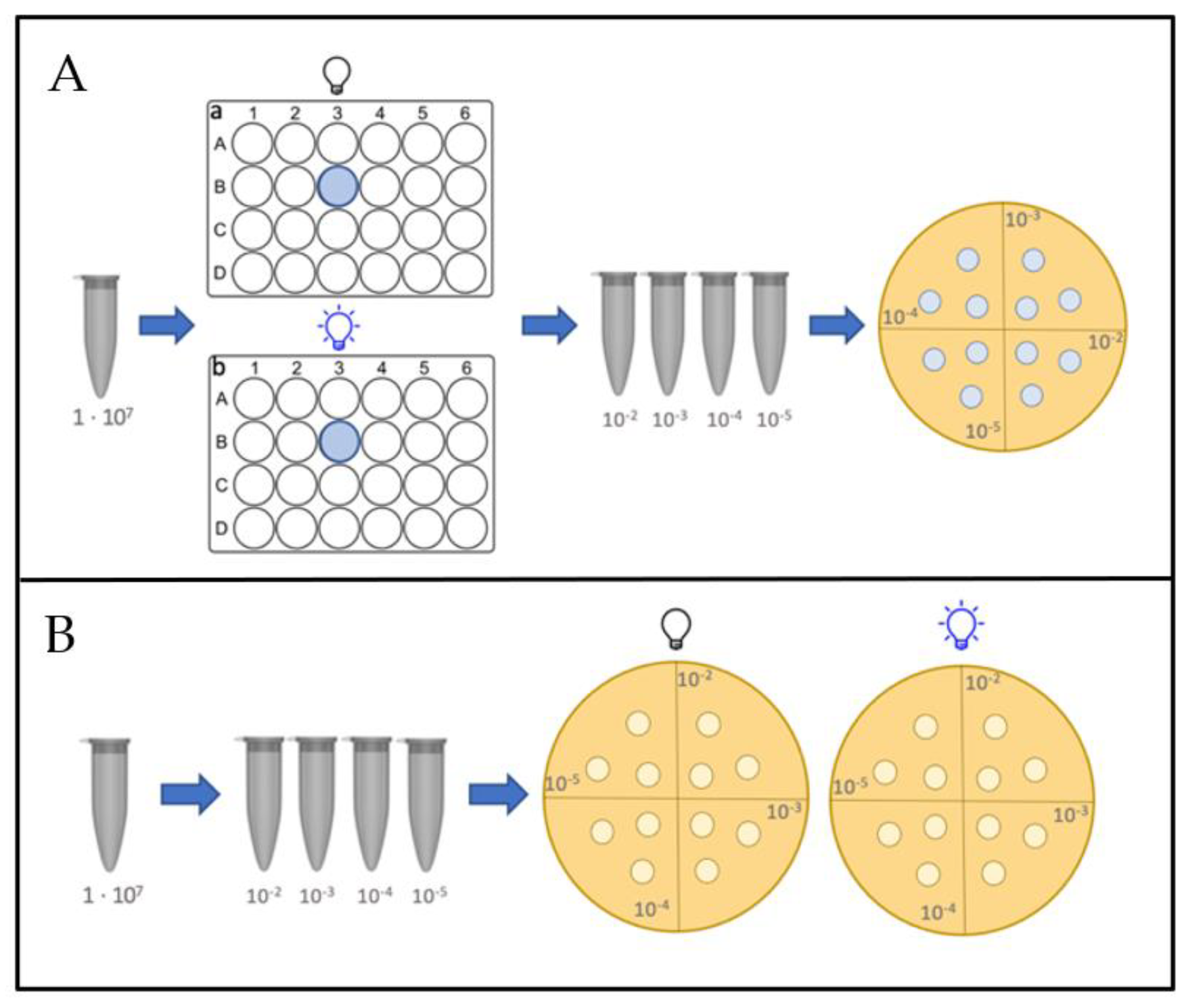 Life 12 01499 g002 Life 12 01499 g002