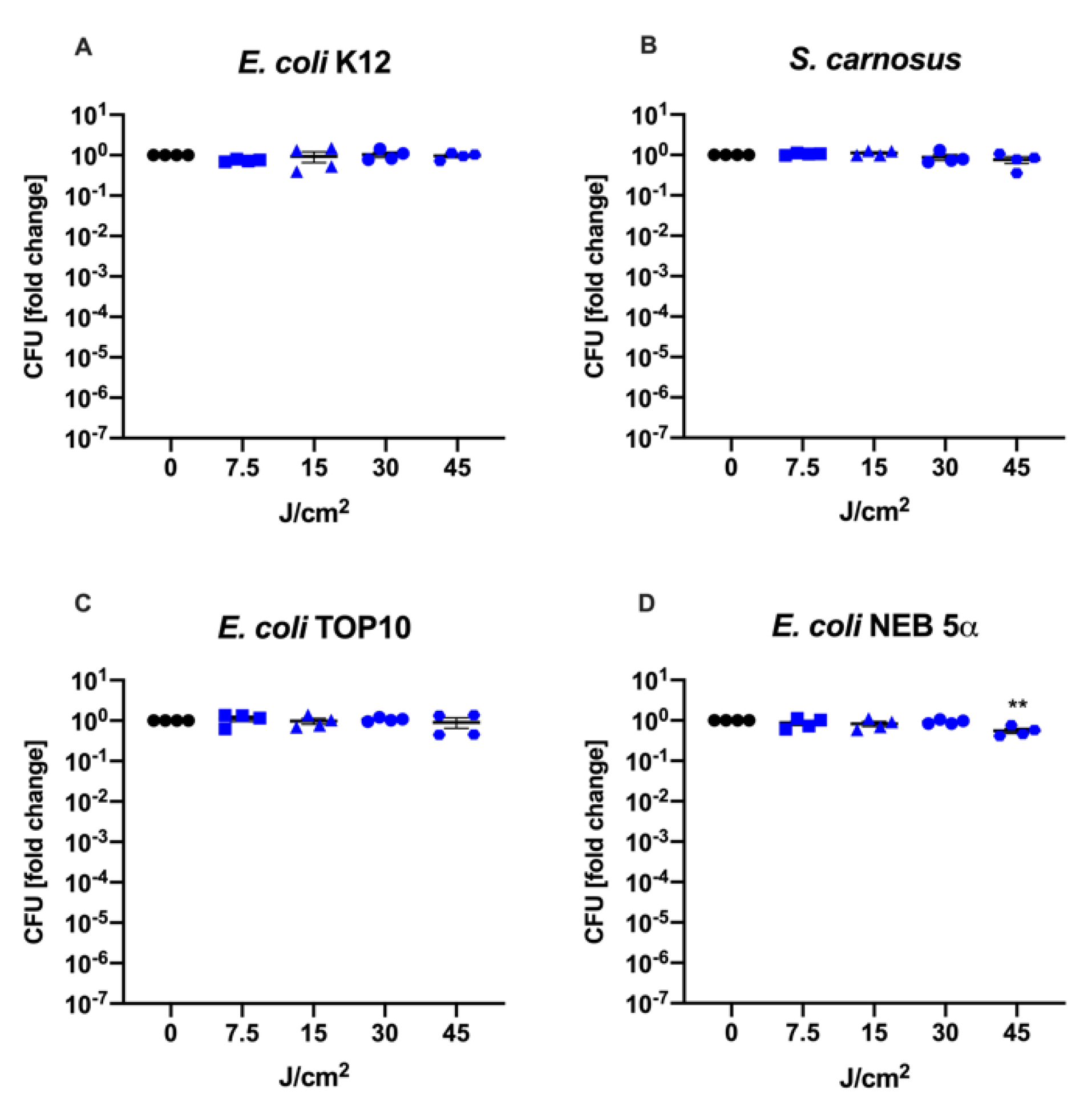 Life 12 01499 g003 Life 12 01499 g003