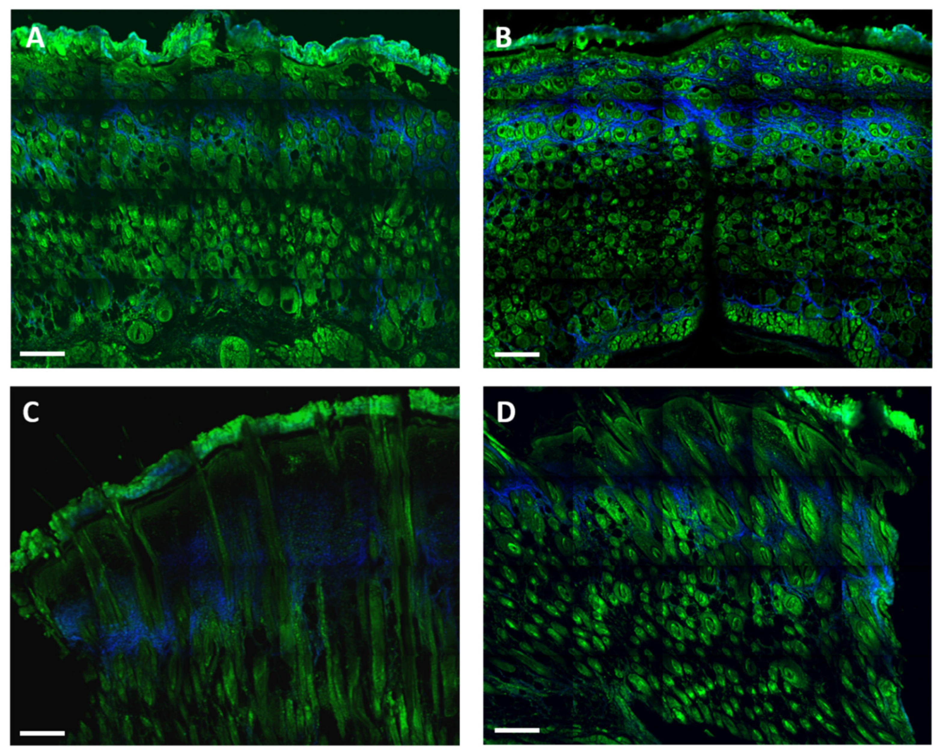 Life 12 01564 g007 Life 12 01564 g007