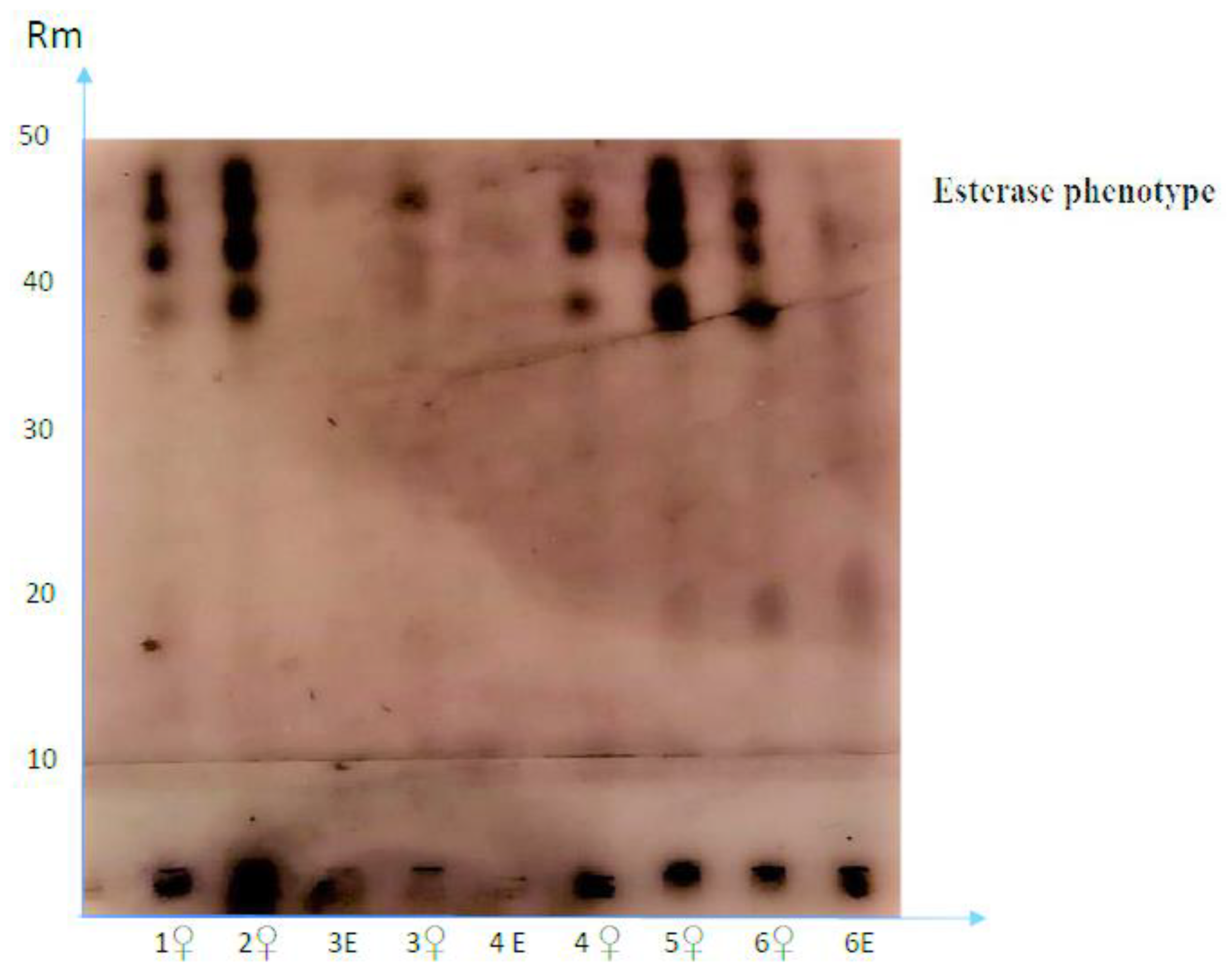 Southern root-knot nematode in soybean: Risks and control options, Education