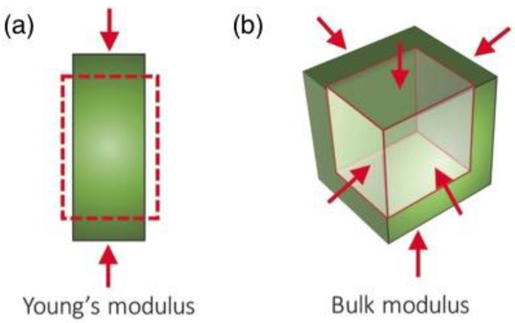 Life 12 01595 g003 Life 12 01595 g003