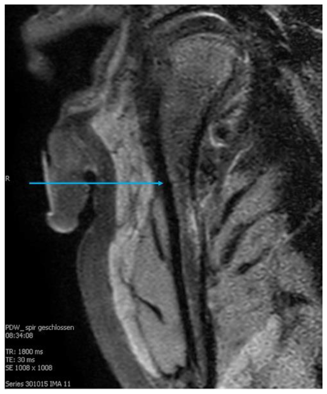 Life 12 01596 g004 Life 12 01596 g004