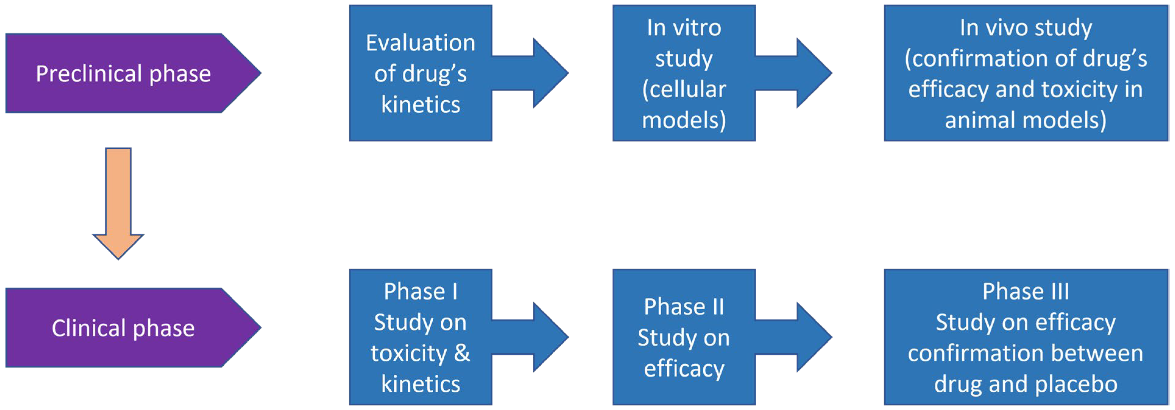 In Vitro vs In Vivo Preclinical Studies