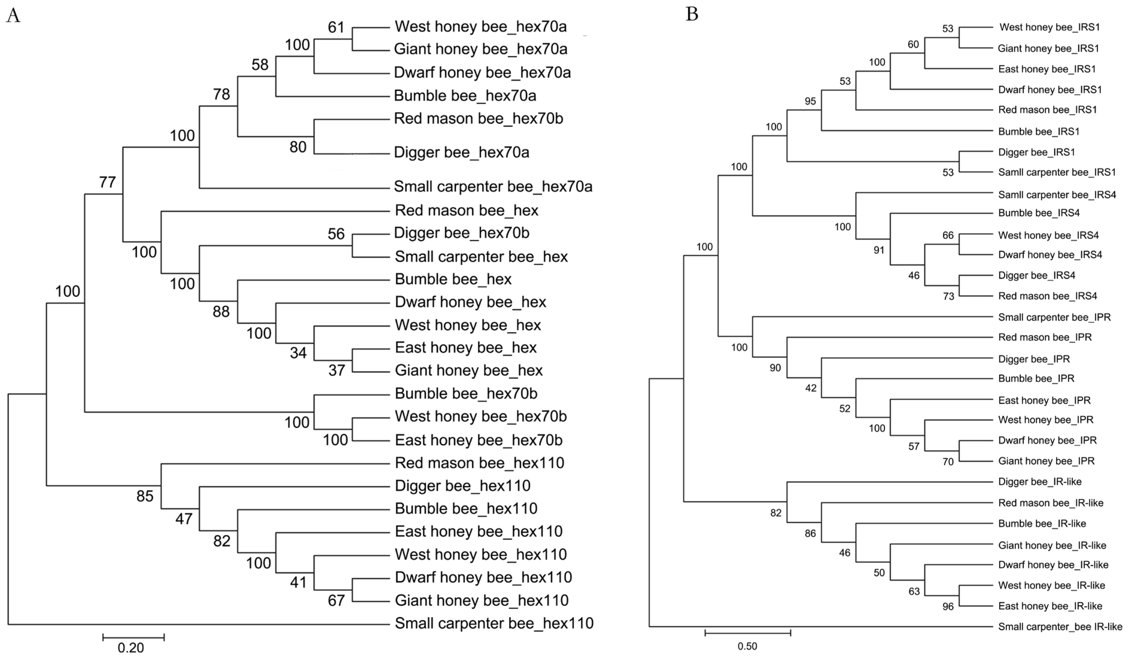 Life 12 01642 g004 Life 12 01642 g004