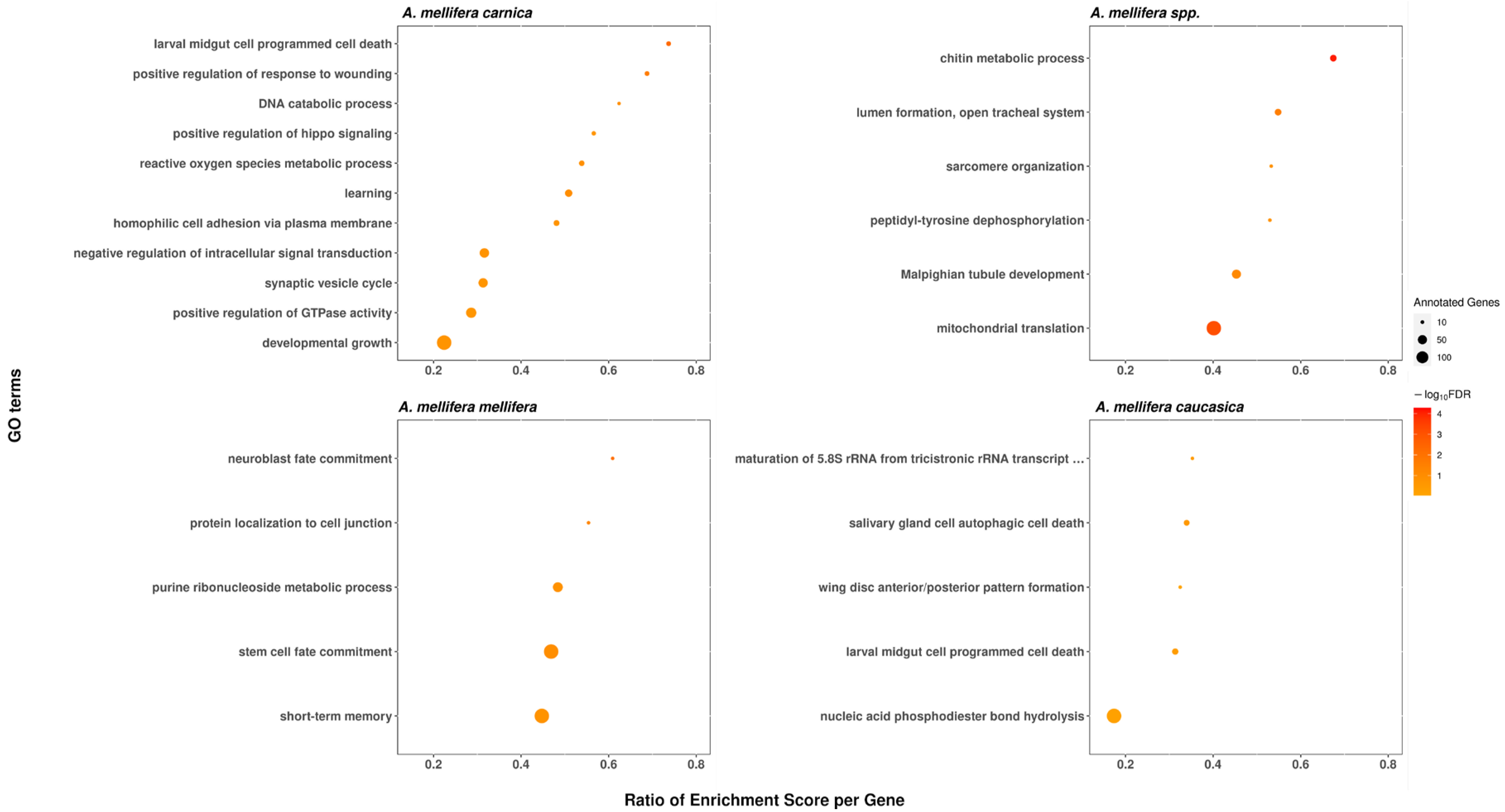 Life 12 01642 g005 Life 12 01642 g005