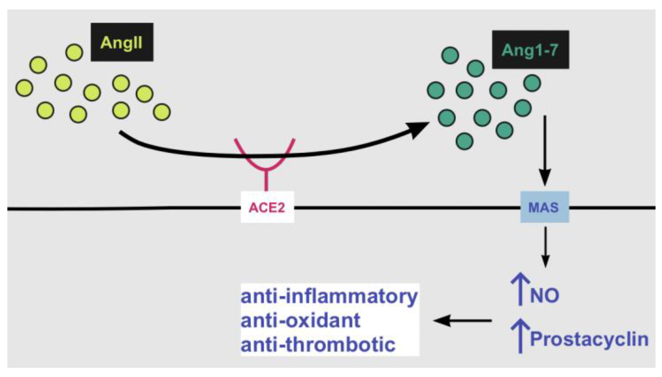 Life 12 01658 g002 Life 12 01658 g002