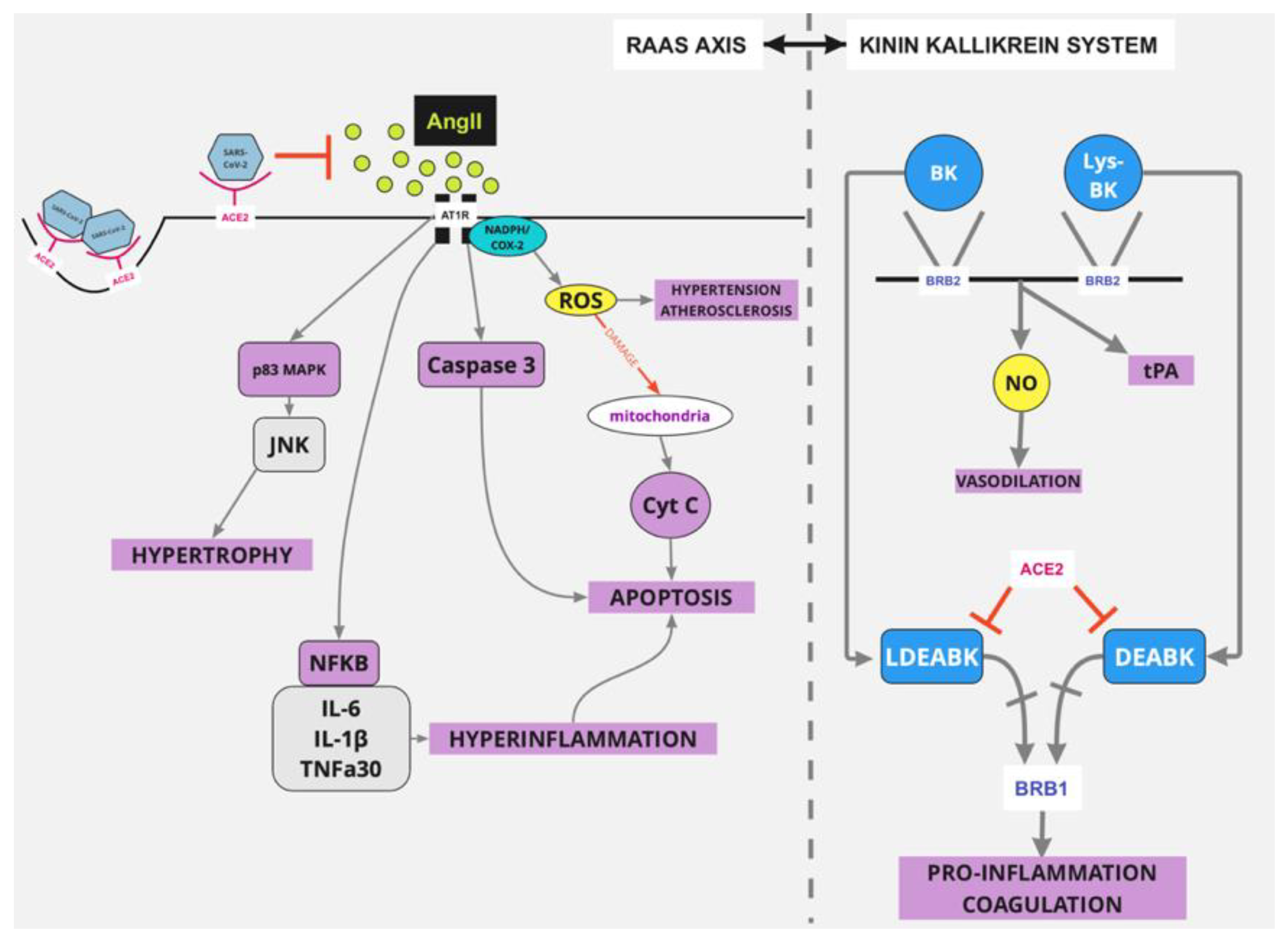 Life 12 01658 g003 Life 12 01658 g003
