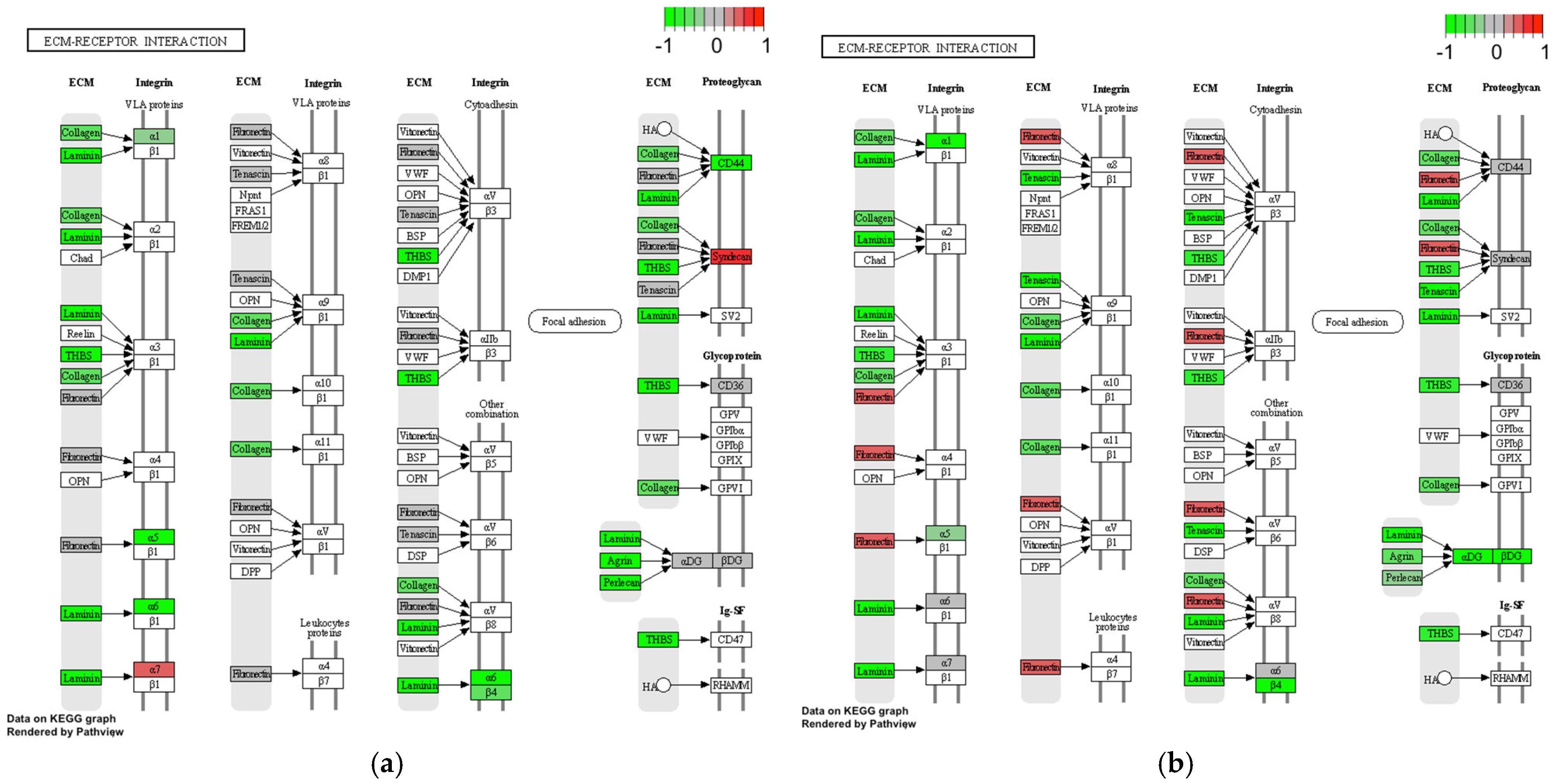 Life 12 01660 g005a Life 12 01660 g005a