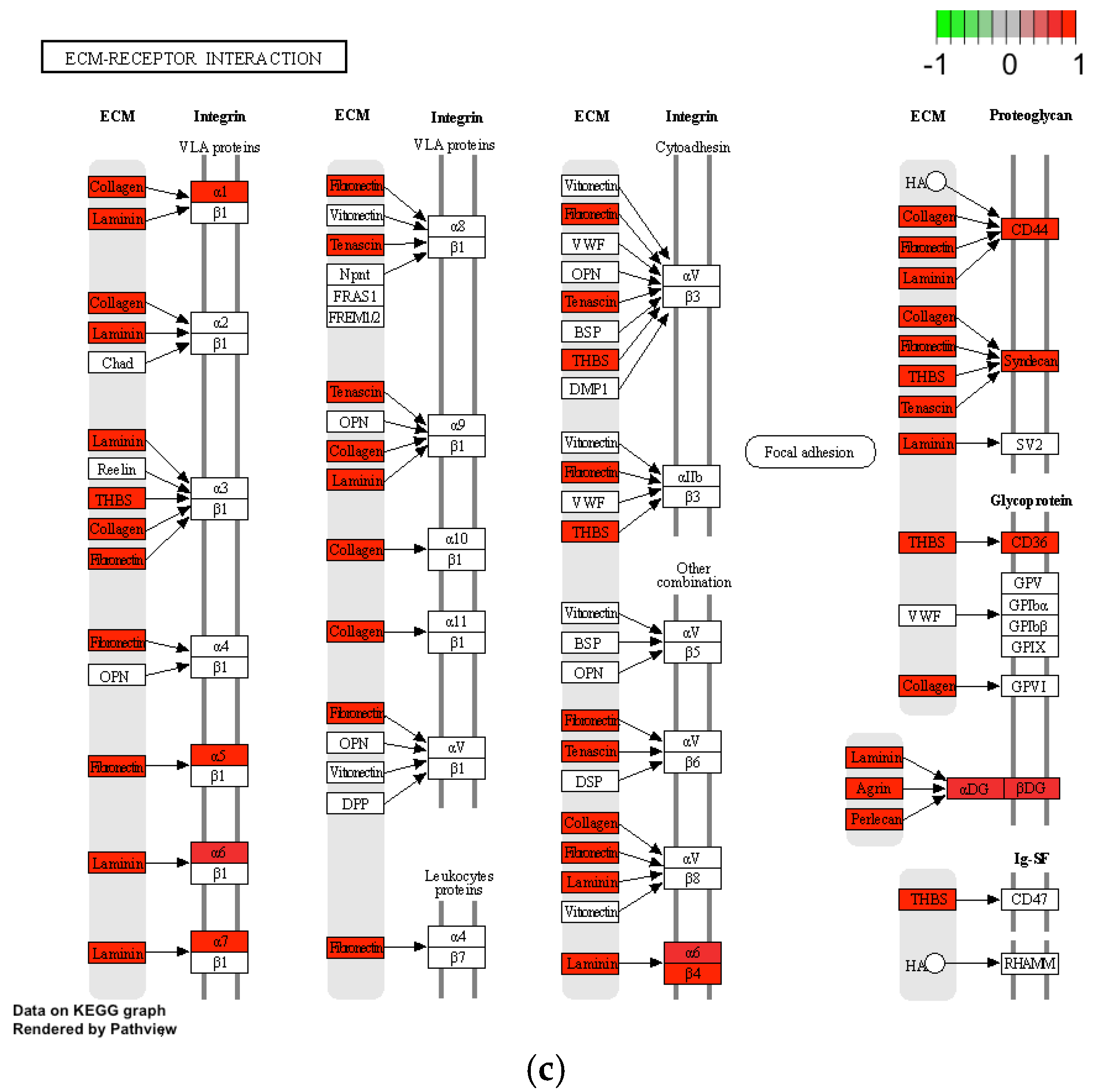 Life 12 01660 g005b Life 12 01660 g005b