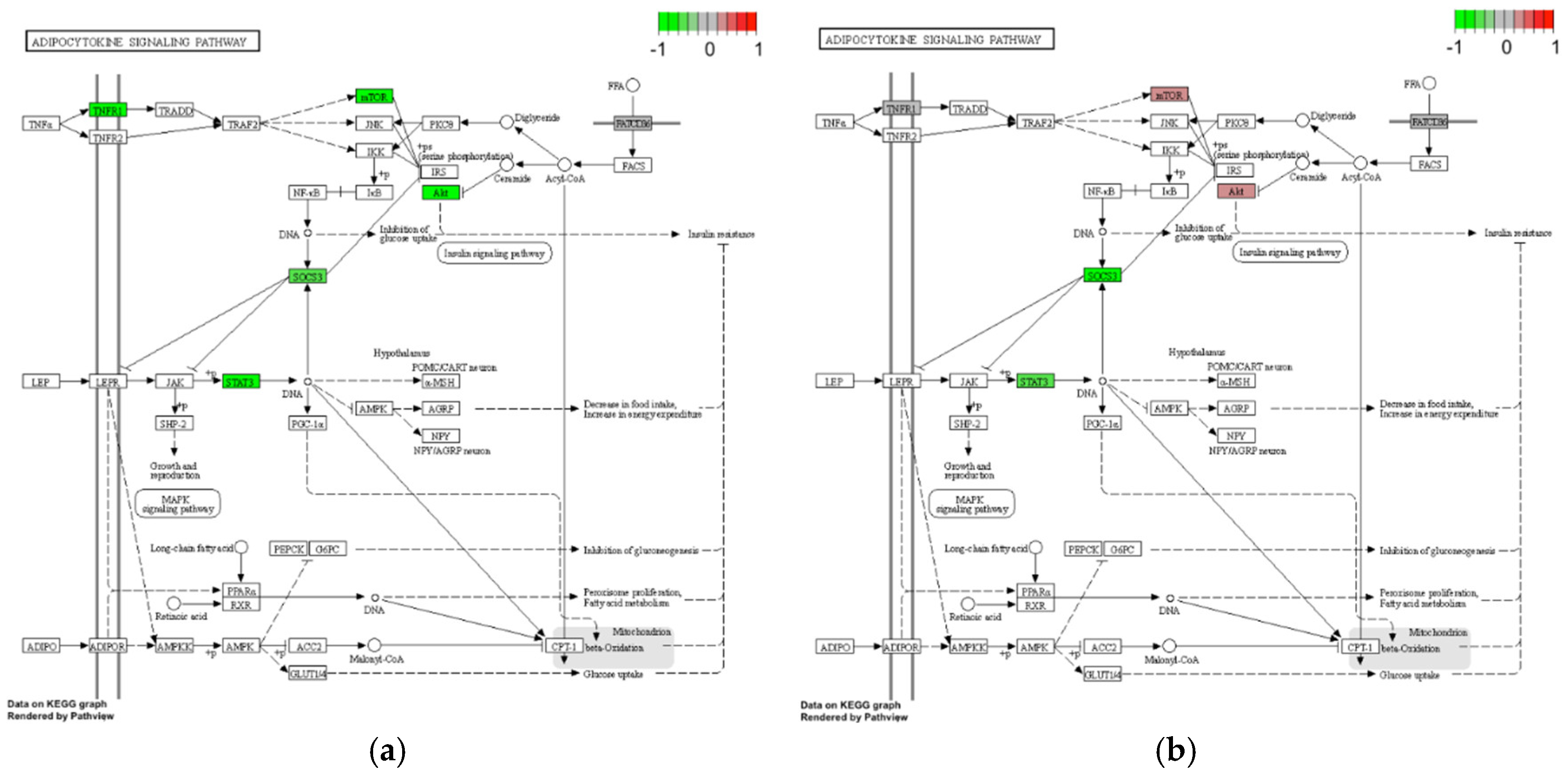 Life 12 01660 g006a Life 12 01660 g006a