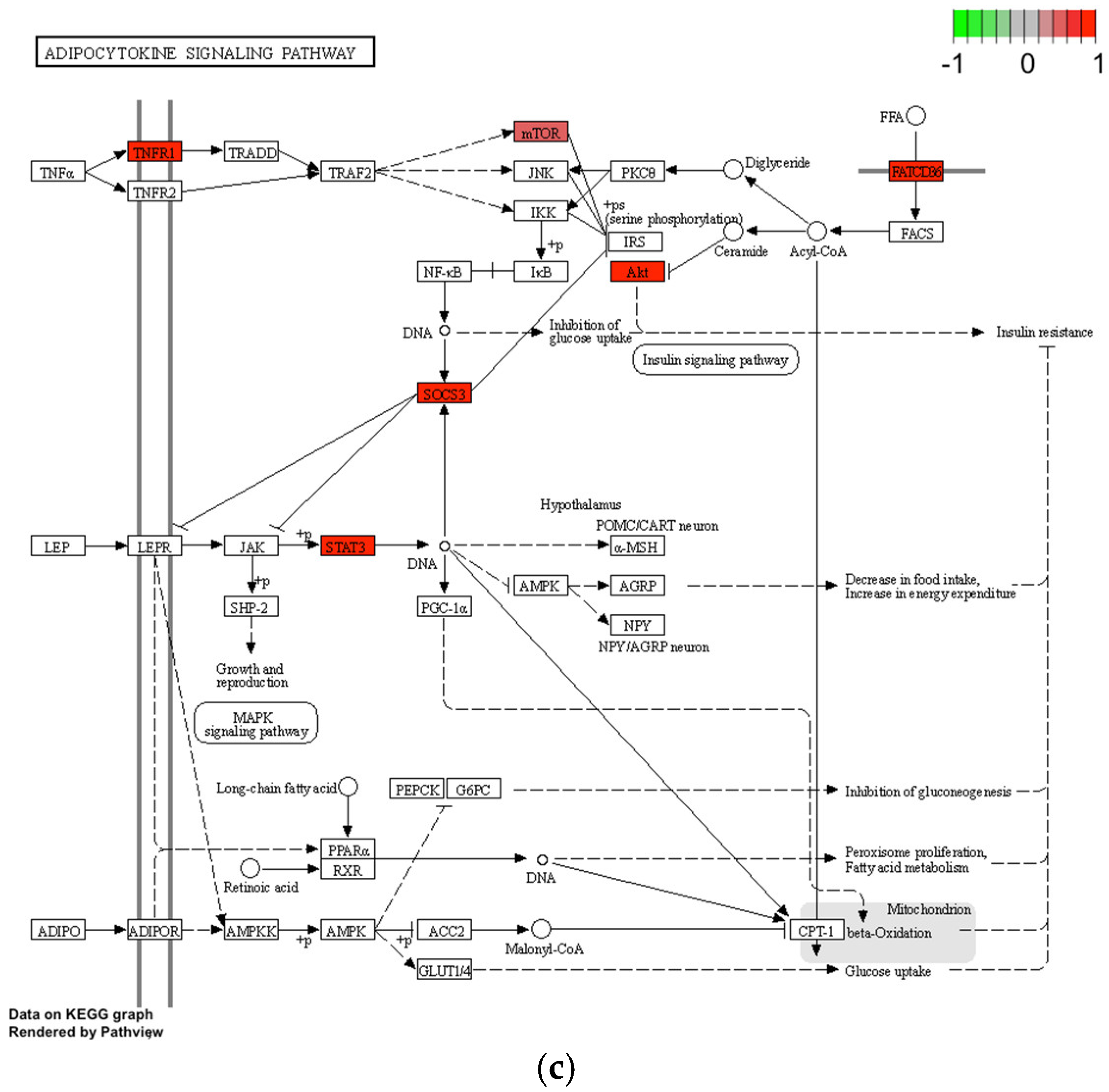 Life 12 01660 g006b Life 12 01660 g006b
