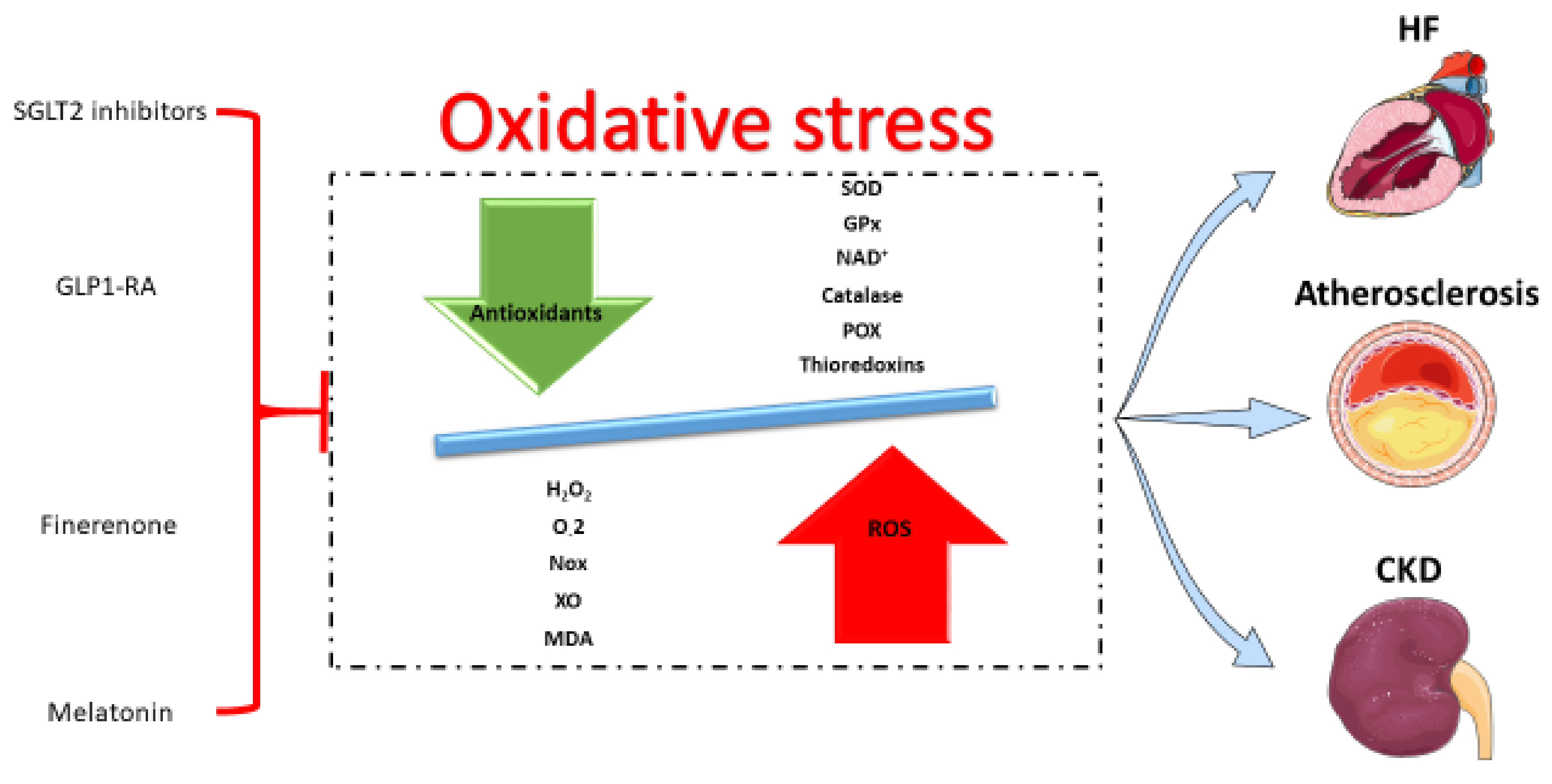 Life 12 01663 g001 Life 12 01663 g001
